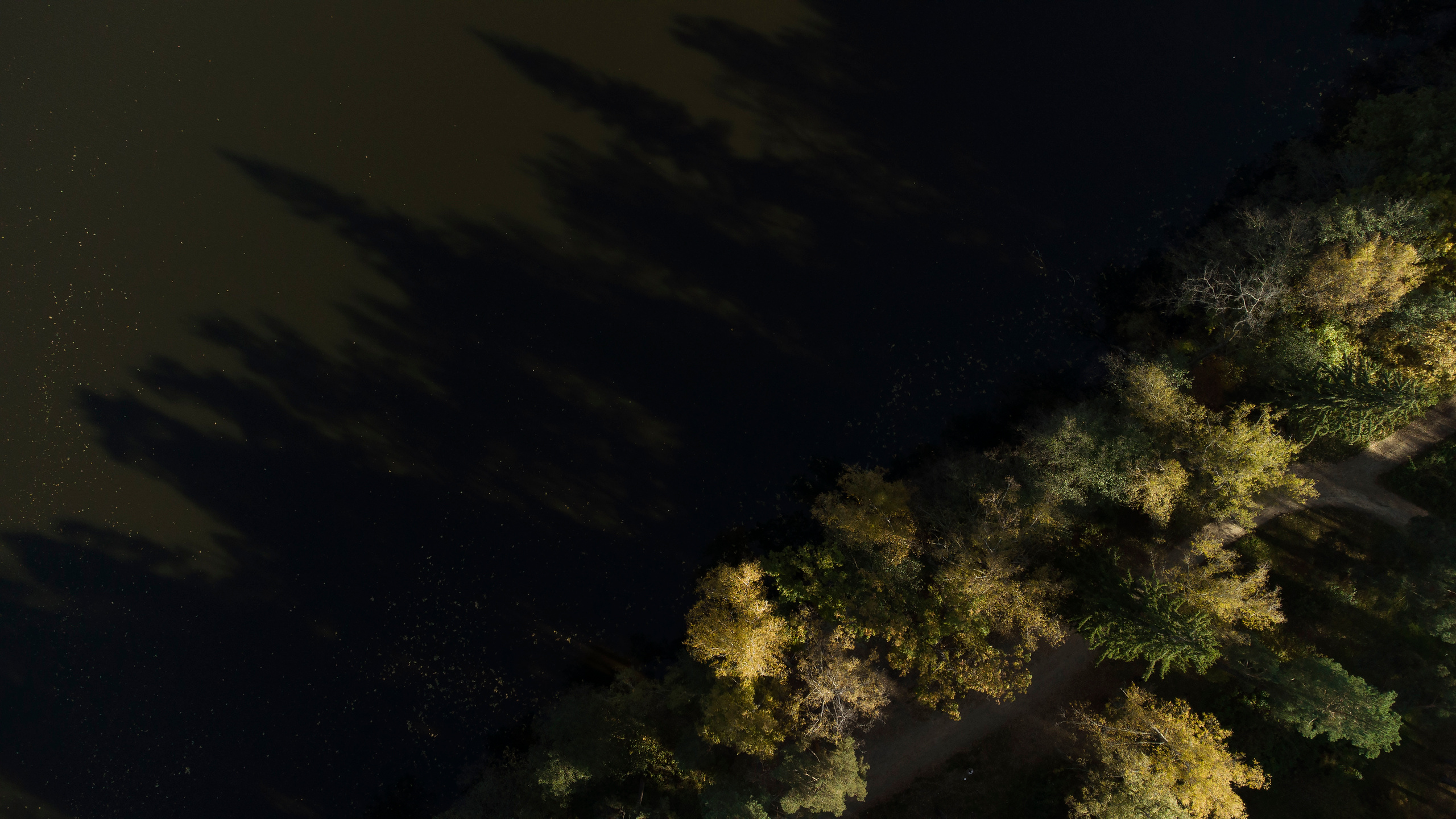 Вид сверху. Свадебный фотограф Колесников Антон