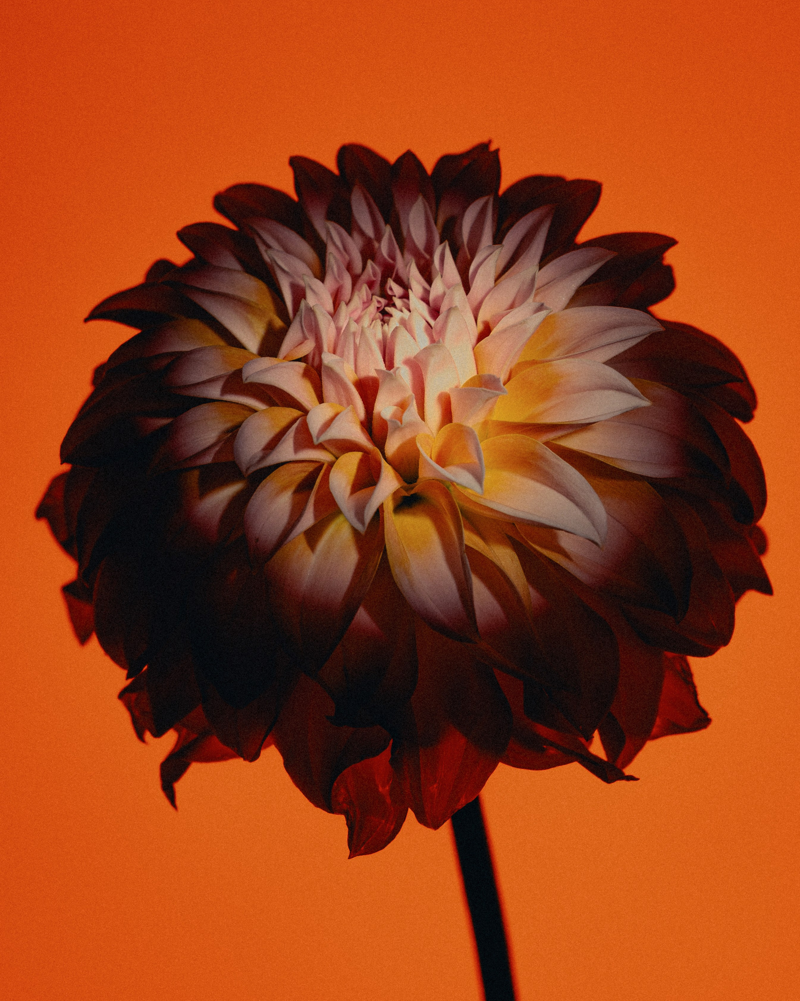 A64 — PORTFOLIO. Ivan Petrov photographer