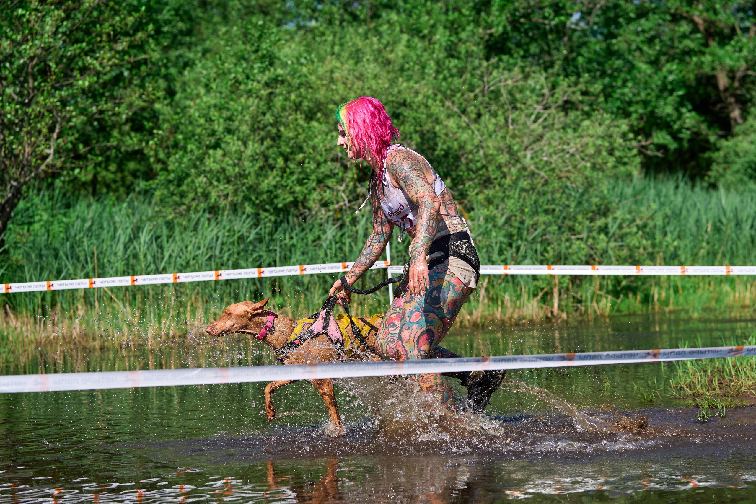 Хвостатый драйв — 2024. Фотограф-анималист Михаил Манухин