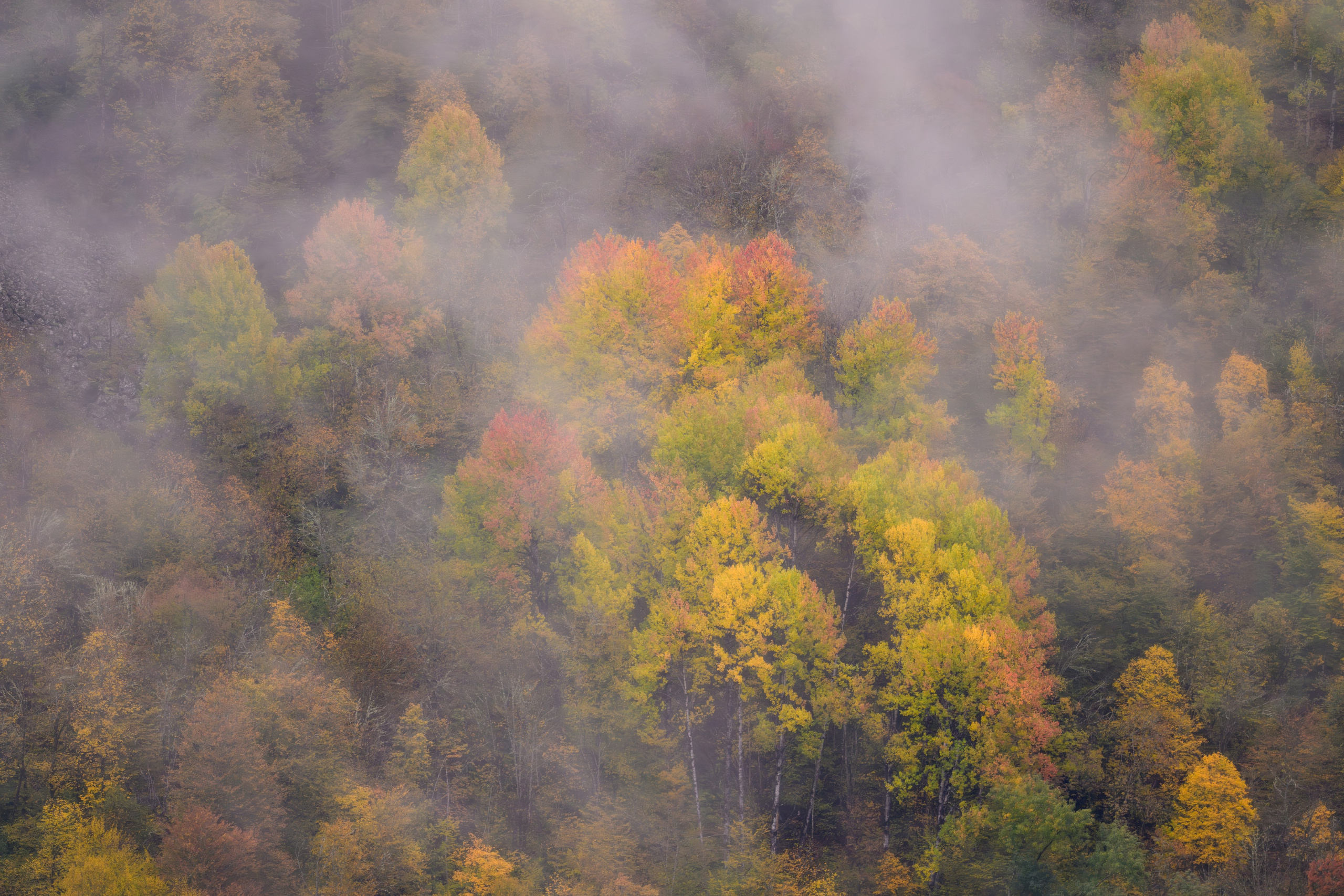 Спортивный и репортажный фотограф Рустам Афлятунов в Казани