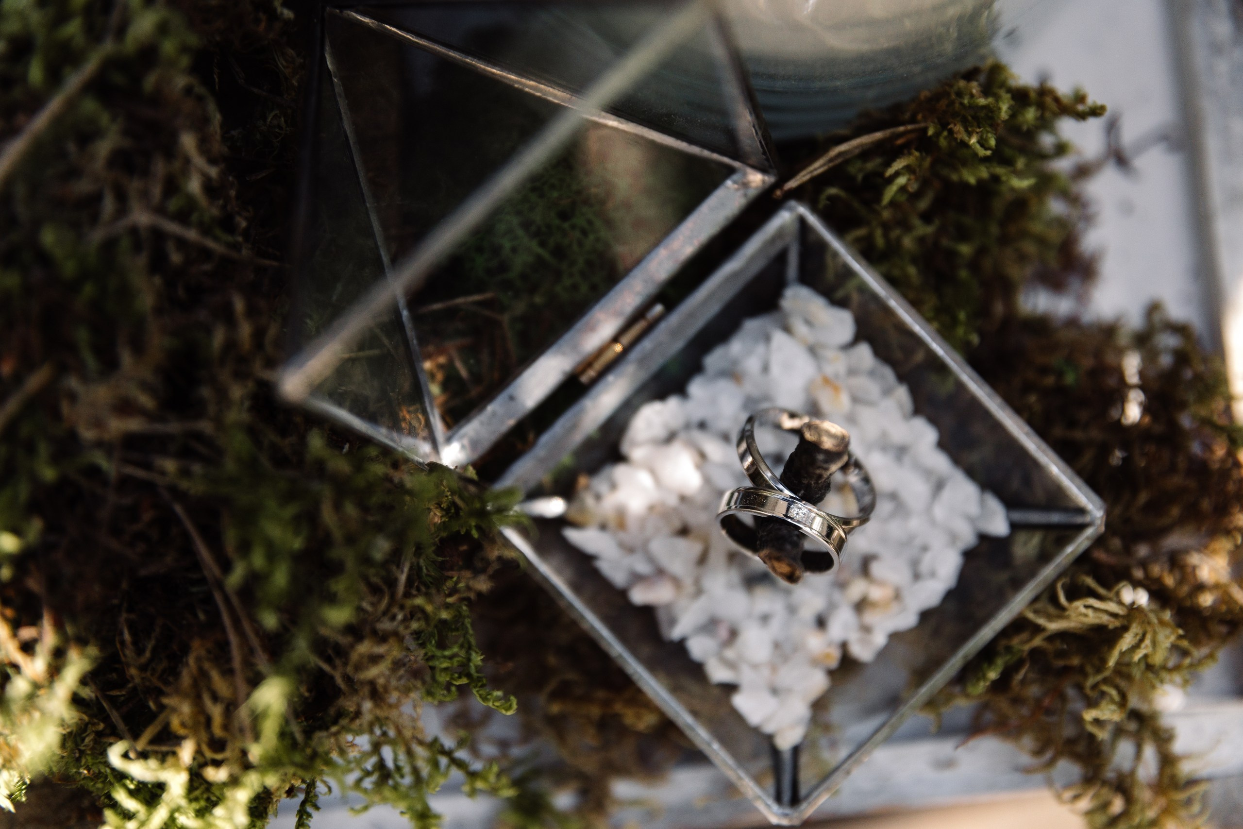 Андрей и Лиза