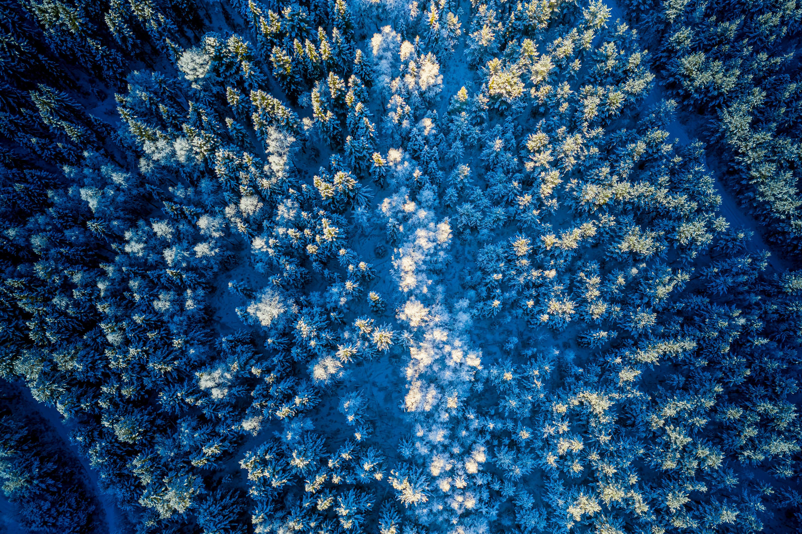 Фотограф Кирилл Сергеев | Москва