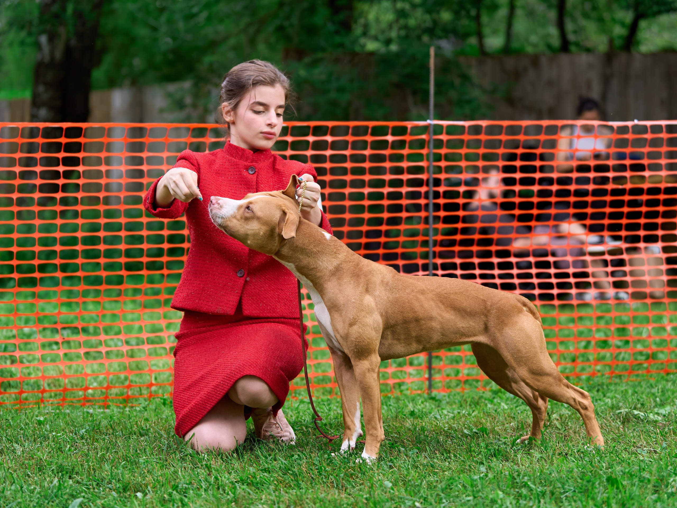 Золотой Кубок — 2024. Фотограф-анималист Михаил Манухин