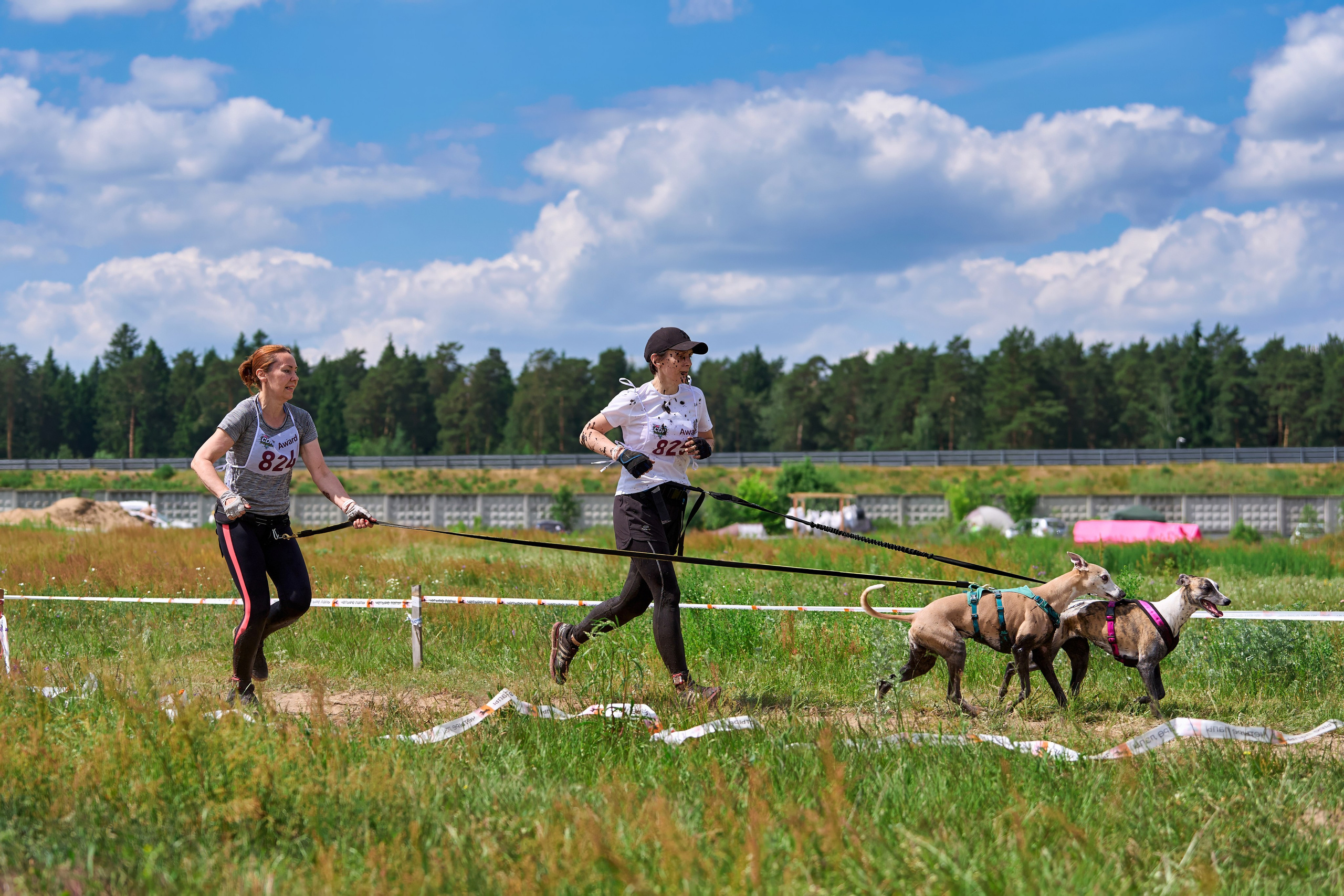 Хвостатый драйв — 2024. Фотограф-анималист Михаил Манухин