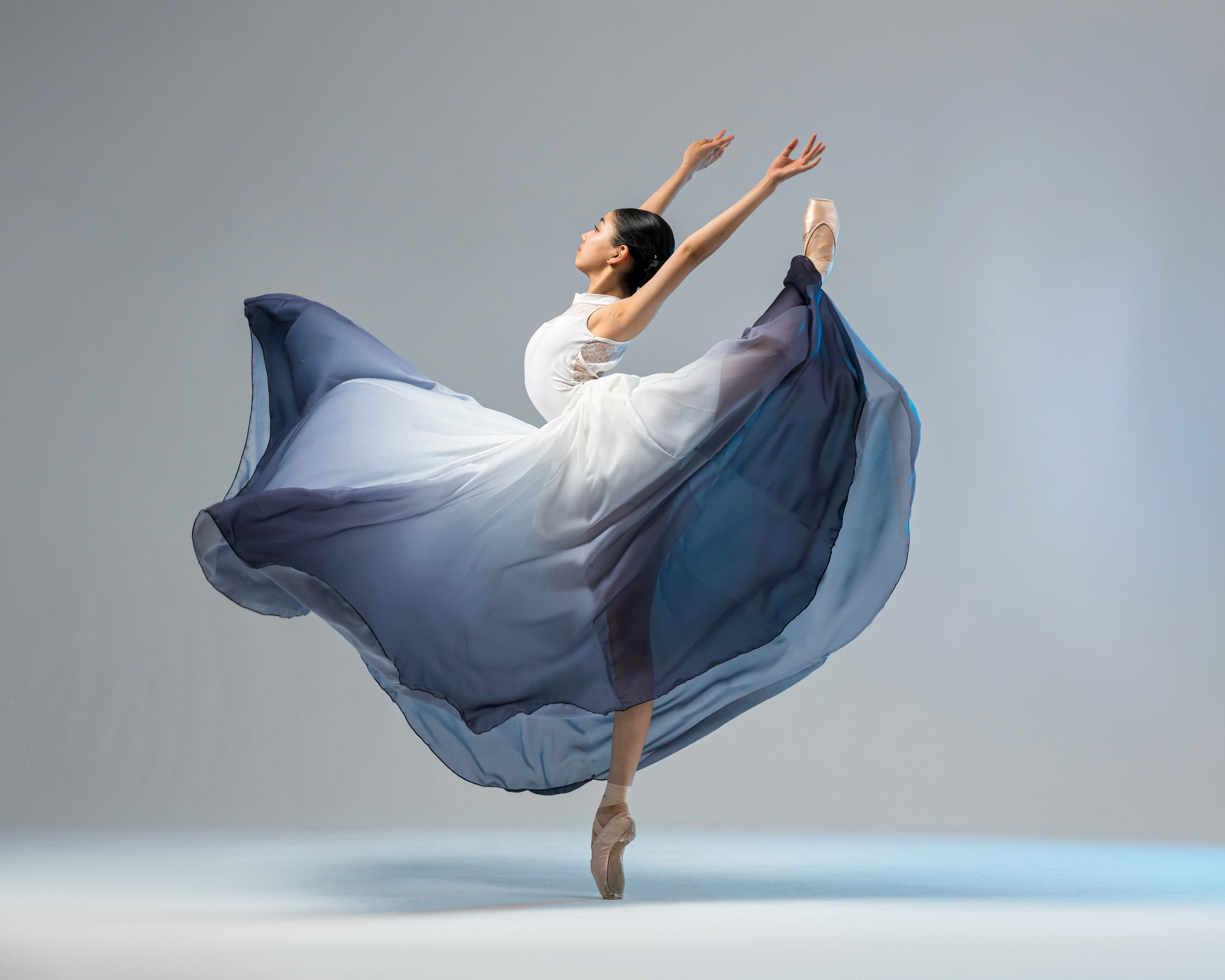 Юбка воздушная градиентная напрокат бесплатно. Балетный фотограф Алина Ханько — Душа Балета