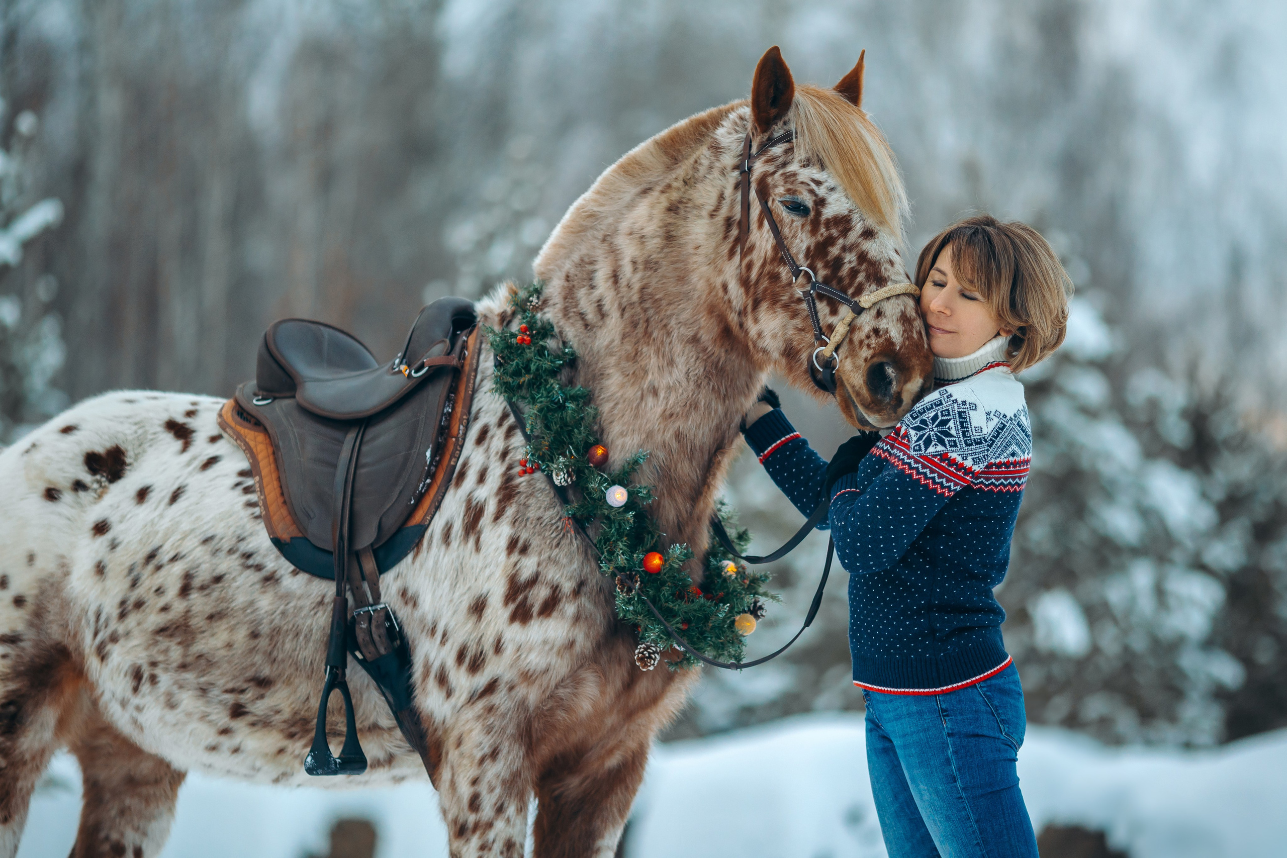 Тариф новогодний 2024. Анна Молчанова конный фотограф в Тюмени | фотосессии с лошадьми Тюмень