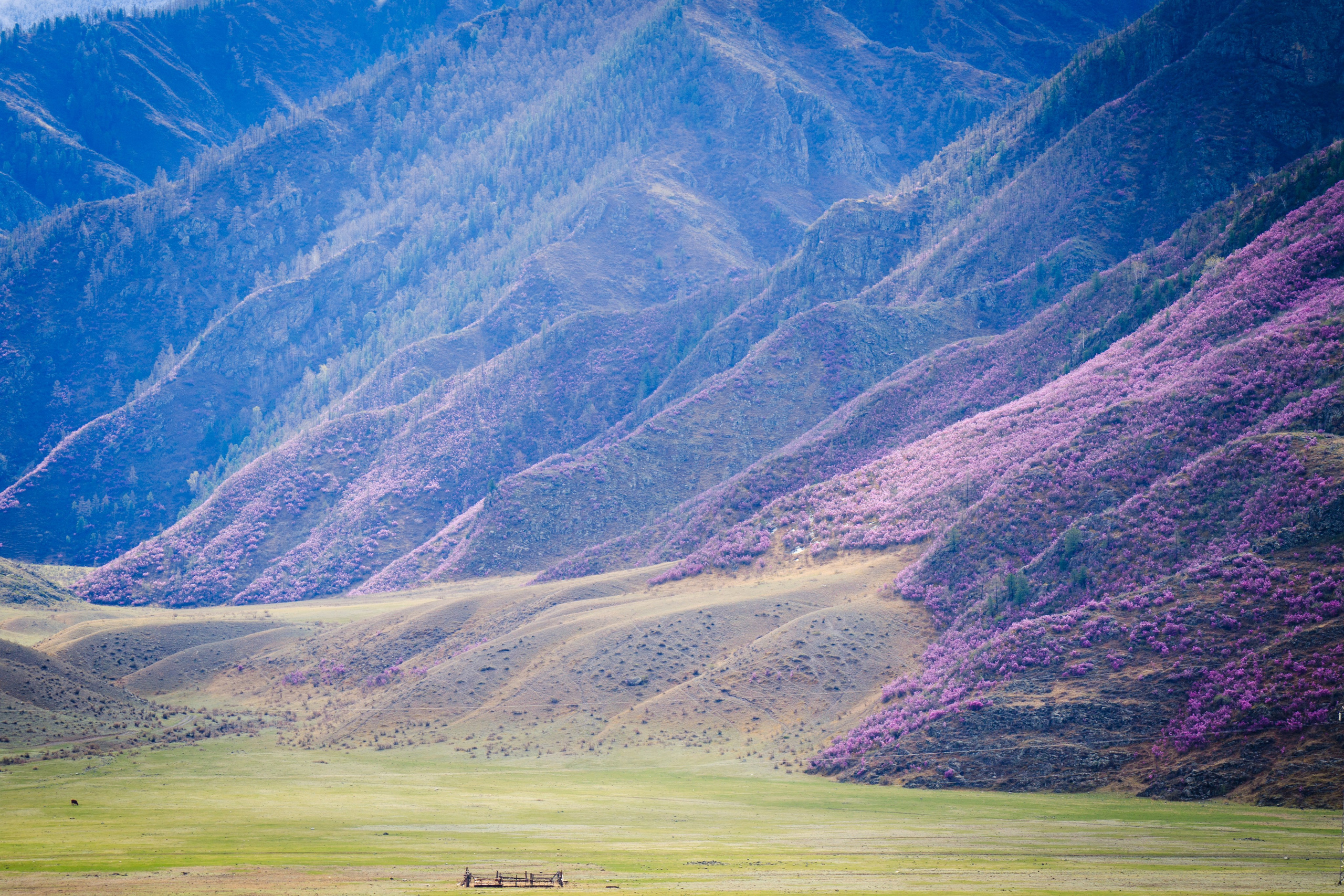 Подберу кадр под ваш интерьер и настроение. Фотограф Кирилл Мешков Кемерово