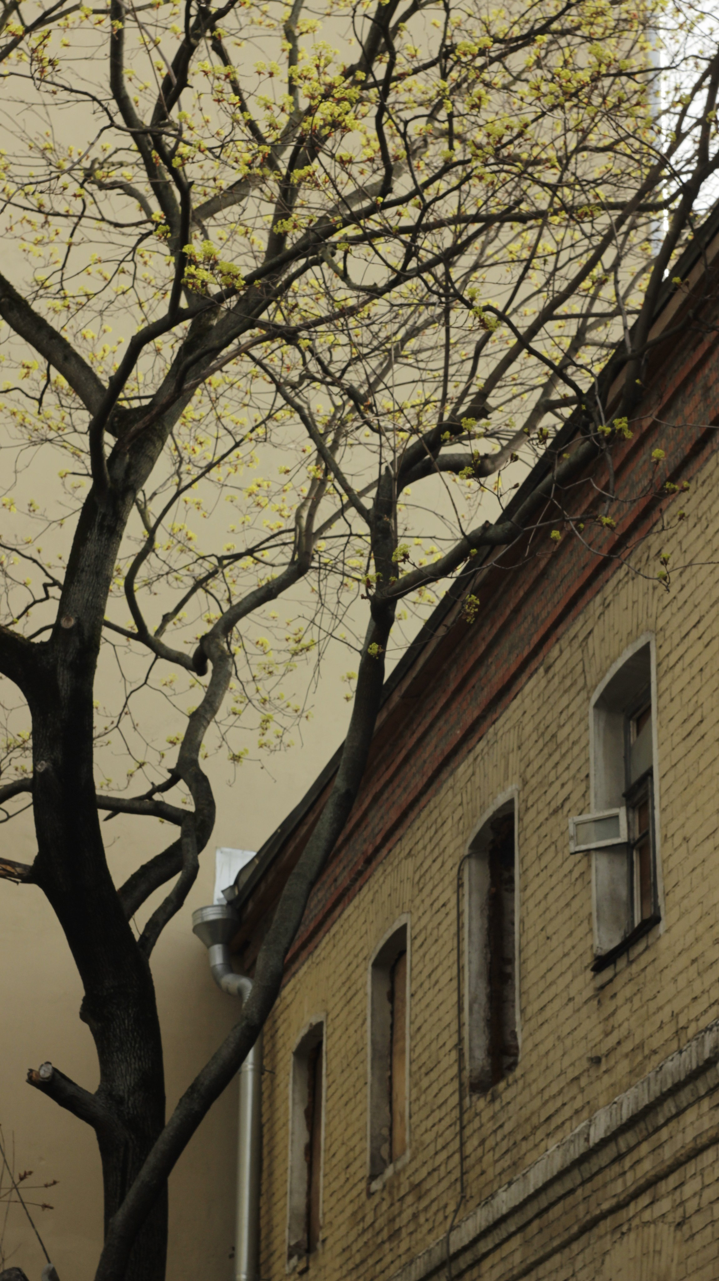 Москва и москвичи в объективе провенциала. Фотокрыжовник. Снимаем, дружим, путешествуем