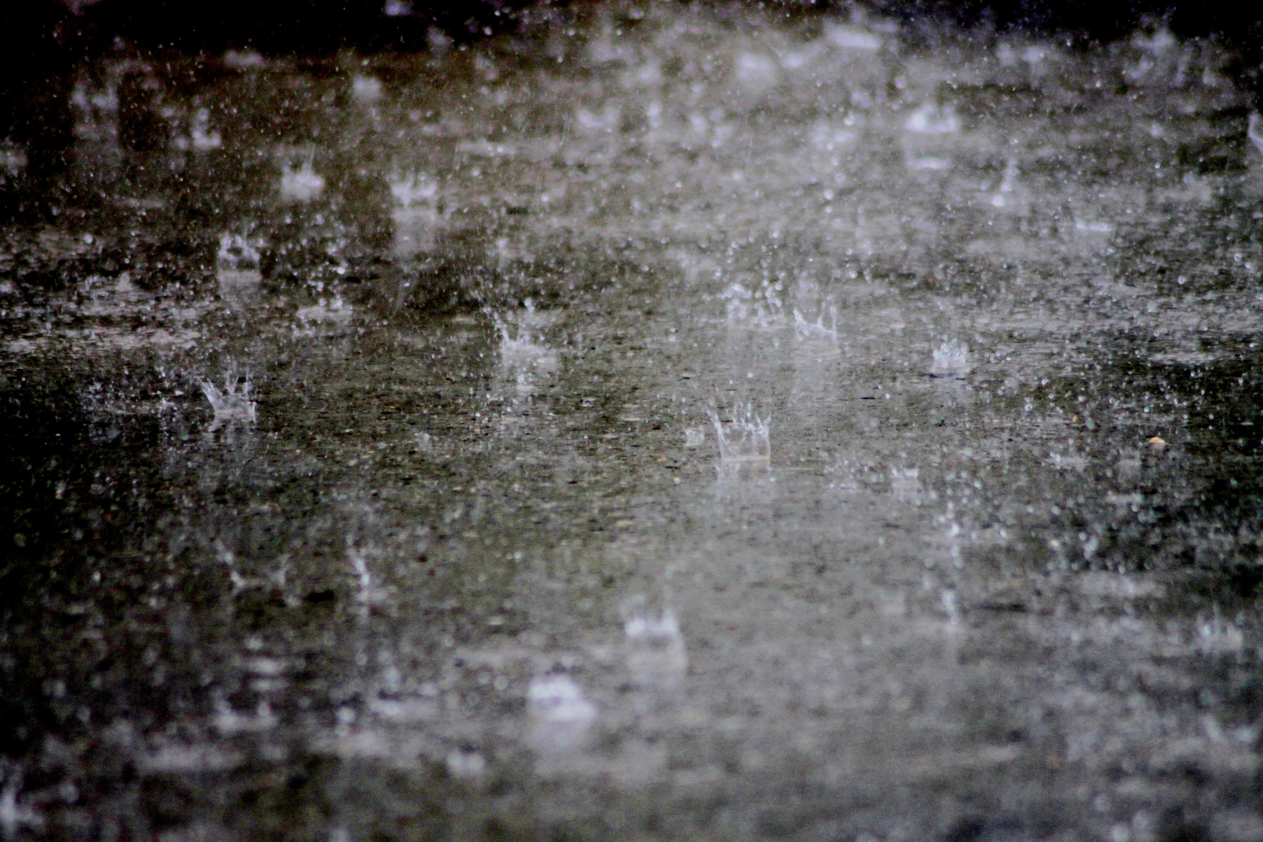 Репортажный фотограф Антон Лаврененков