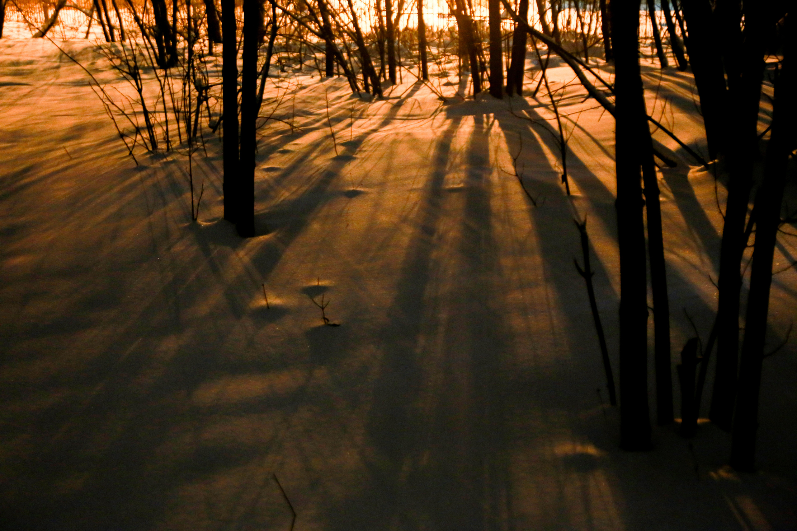Репортажный фотограф Антон Лаврененков
