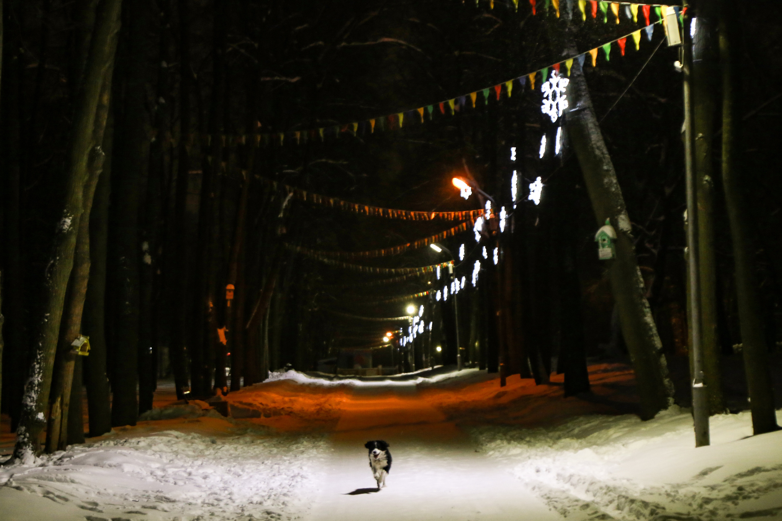 Репортажный фотограф Антон Лаврененков