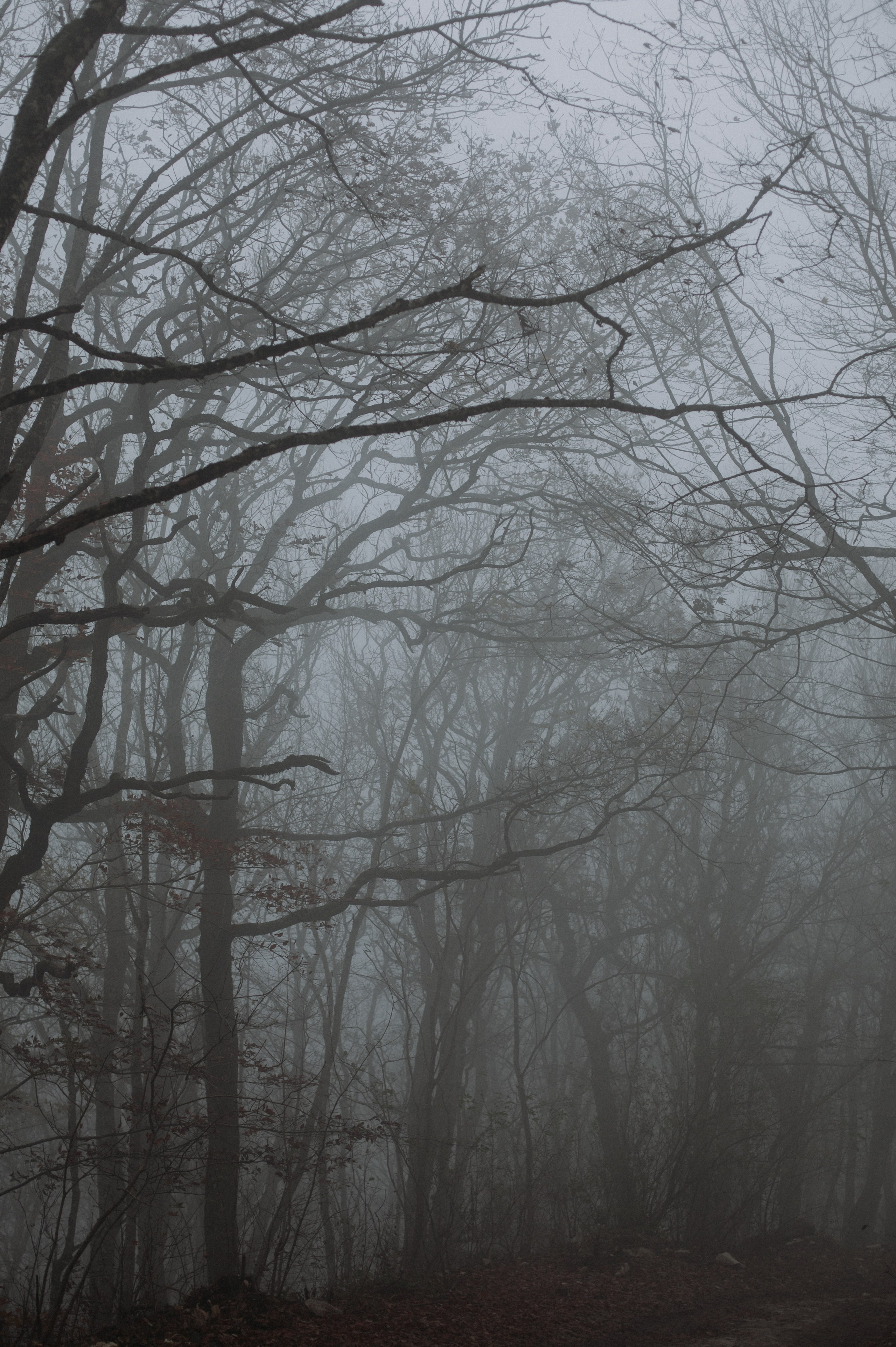 Дороги земли ветров. Портретный фотограф в Москве и Геленджике Кирилл Вахитов