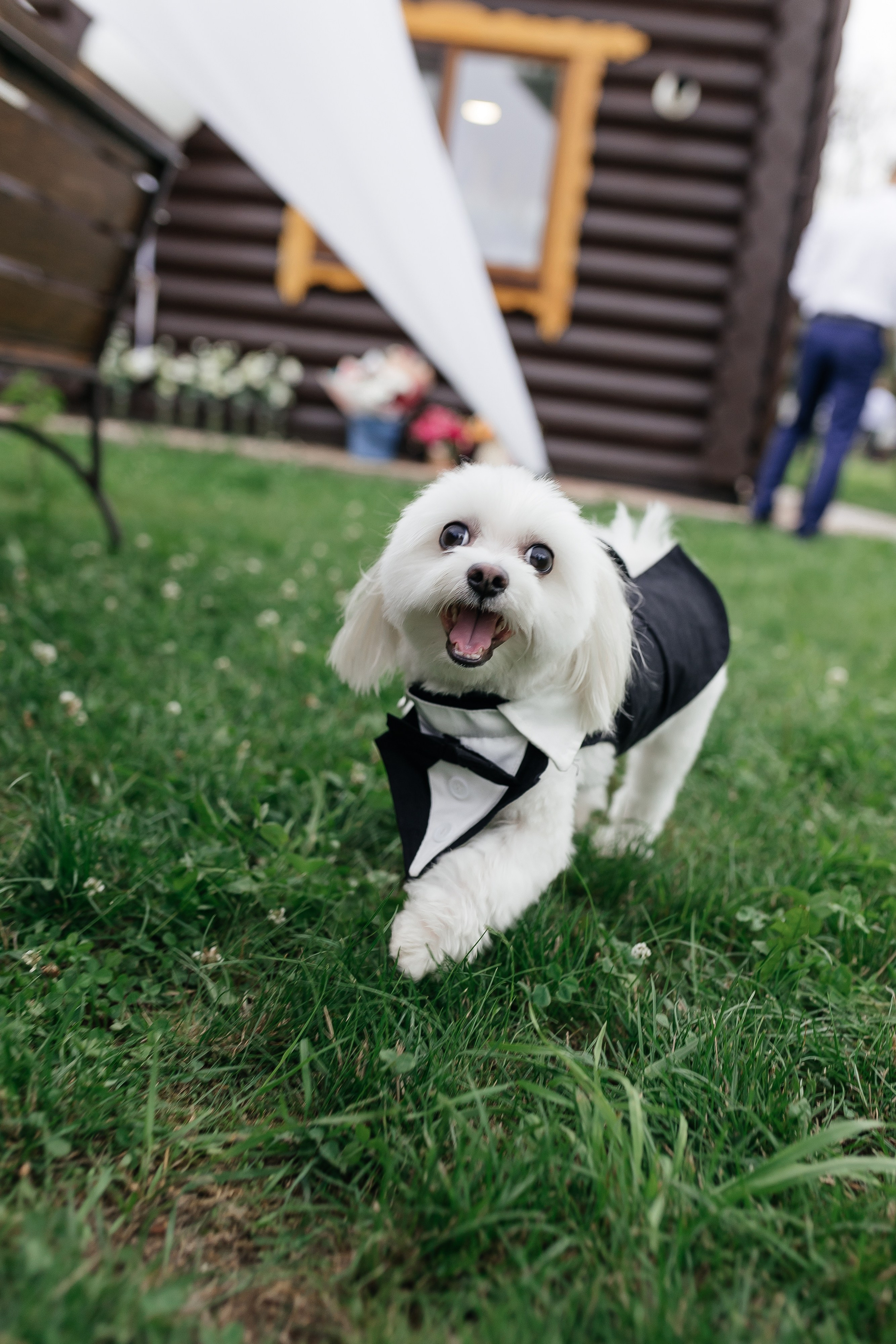 Евгений и Виктория. Фотограф Макс Ветошкин 📷