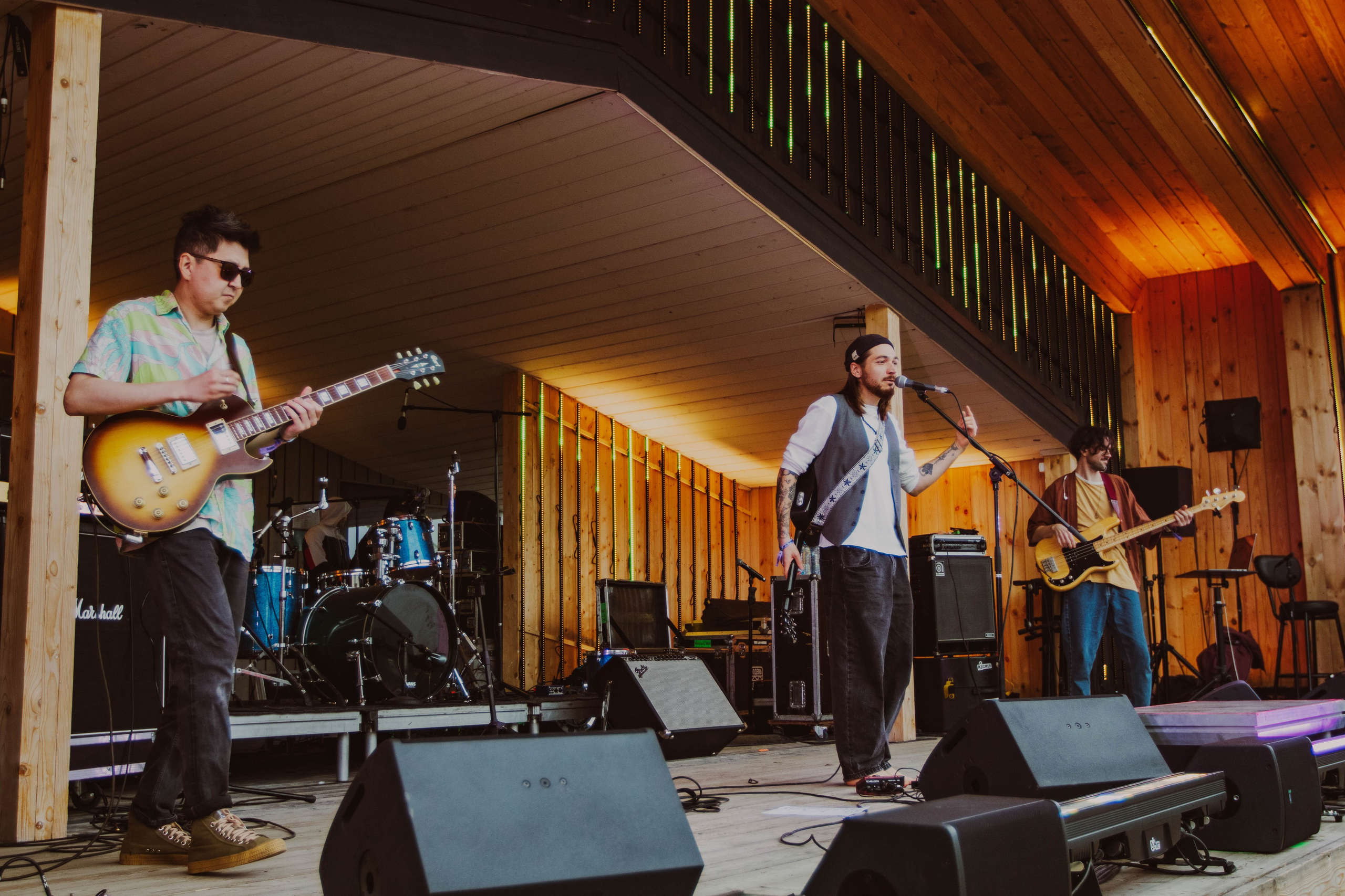 Дикая мята 2025. Концертный фотограф