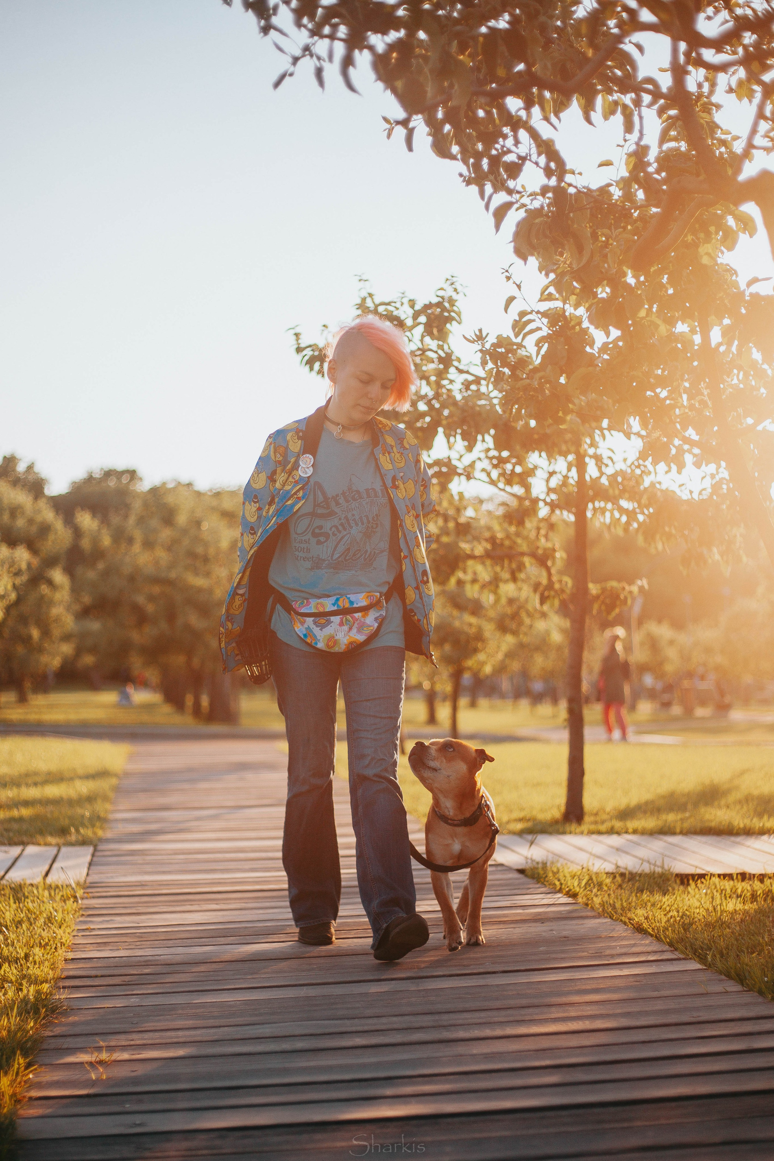 О нас. BLGKV питомник собак