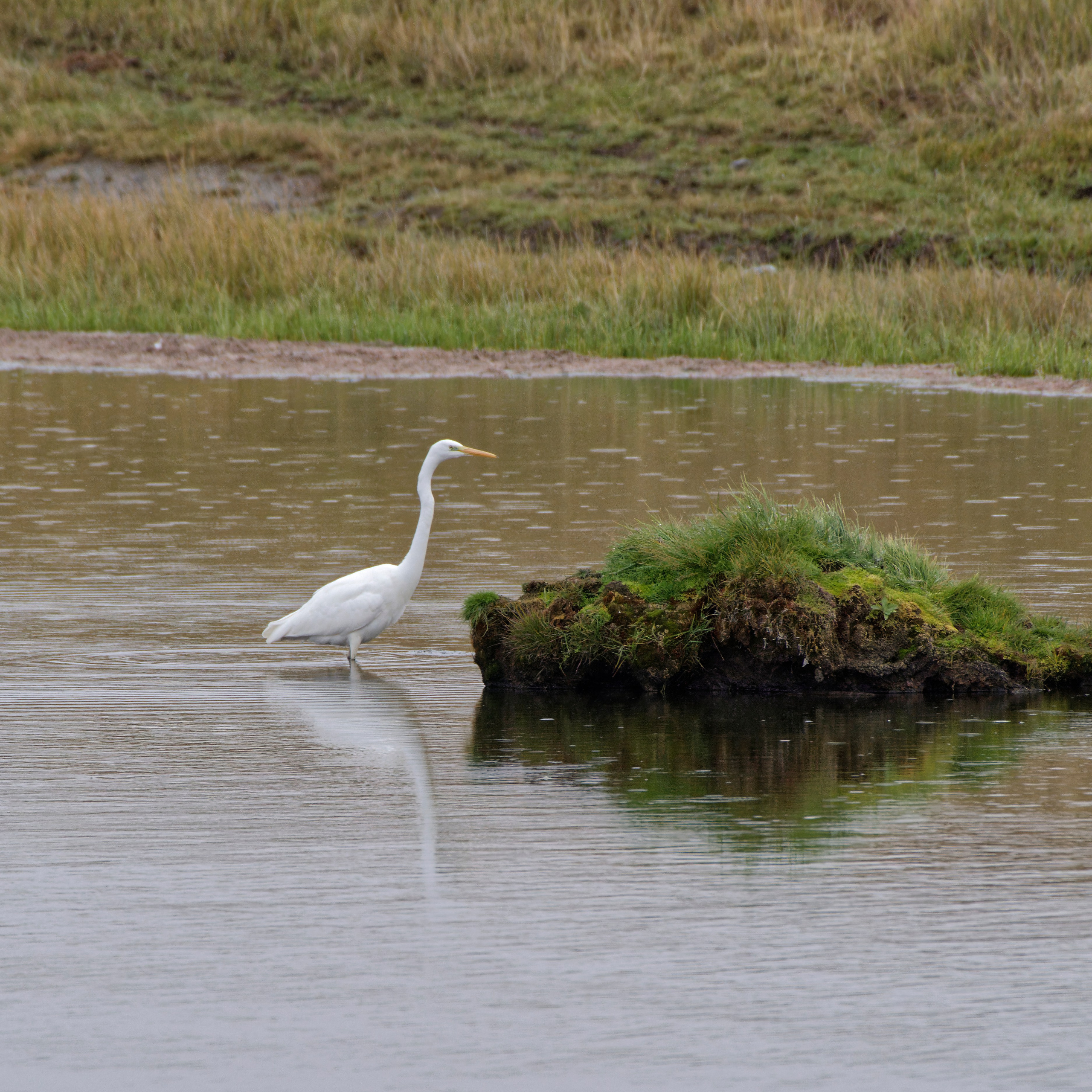 Путешествие по южному Алтаю. Семоха Валерий. Фотограф