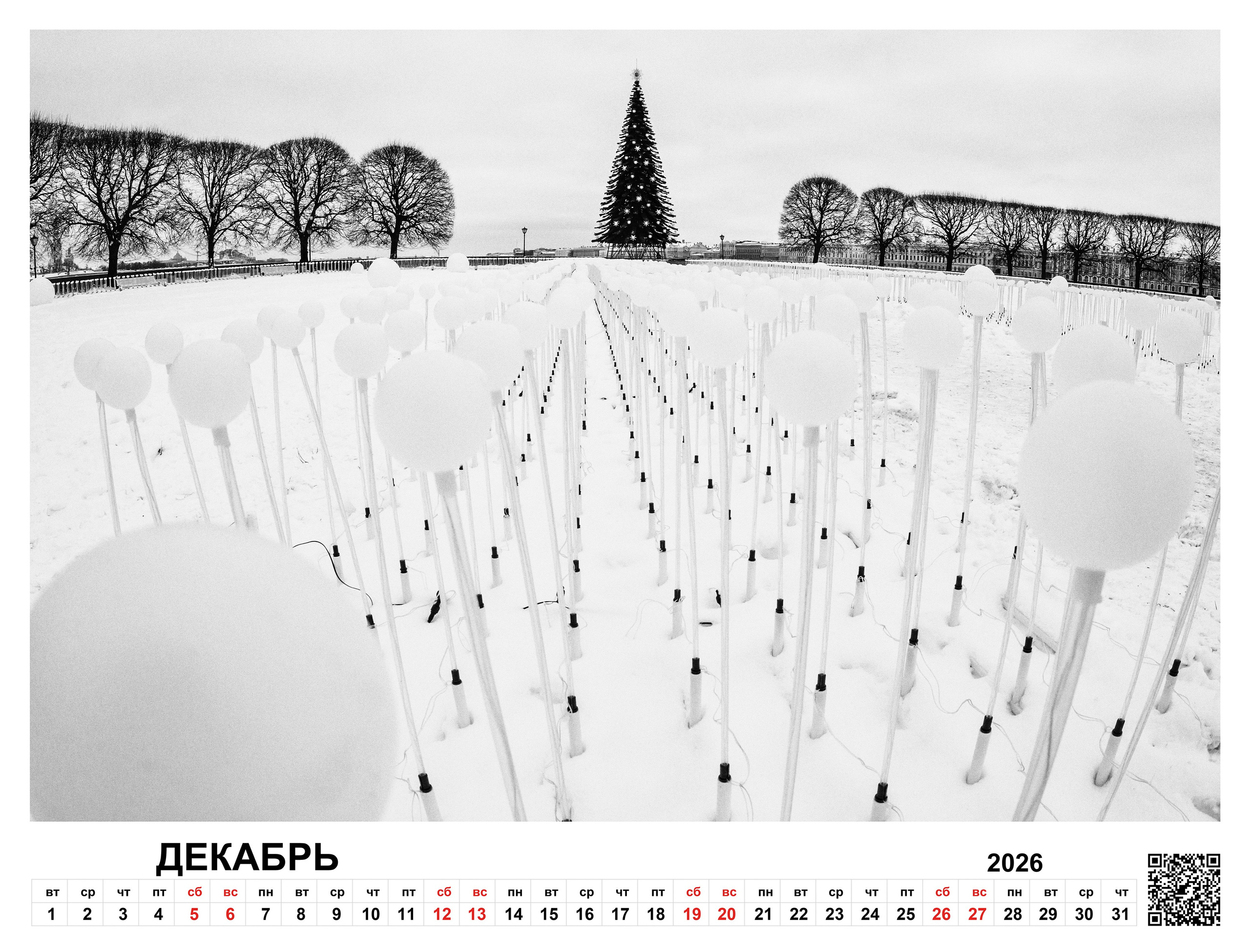 Order. Dimitri Bakhtadze photographer