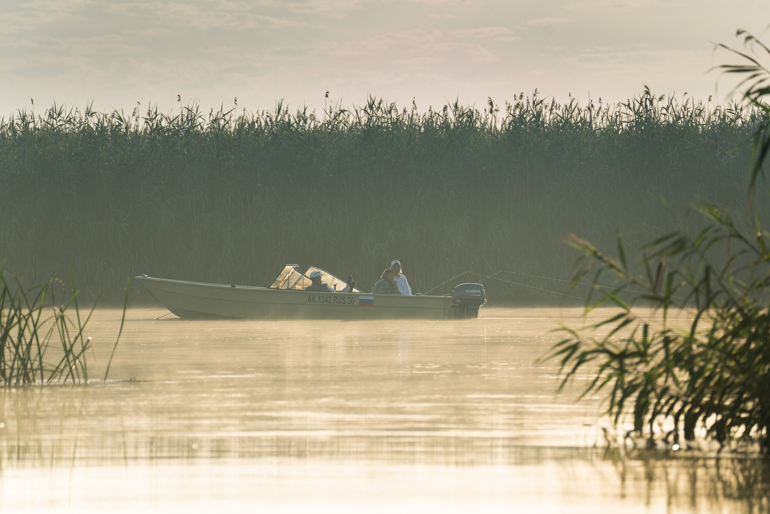 Барханы и лотосы. Июль–Август