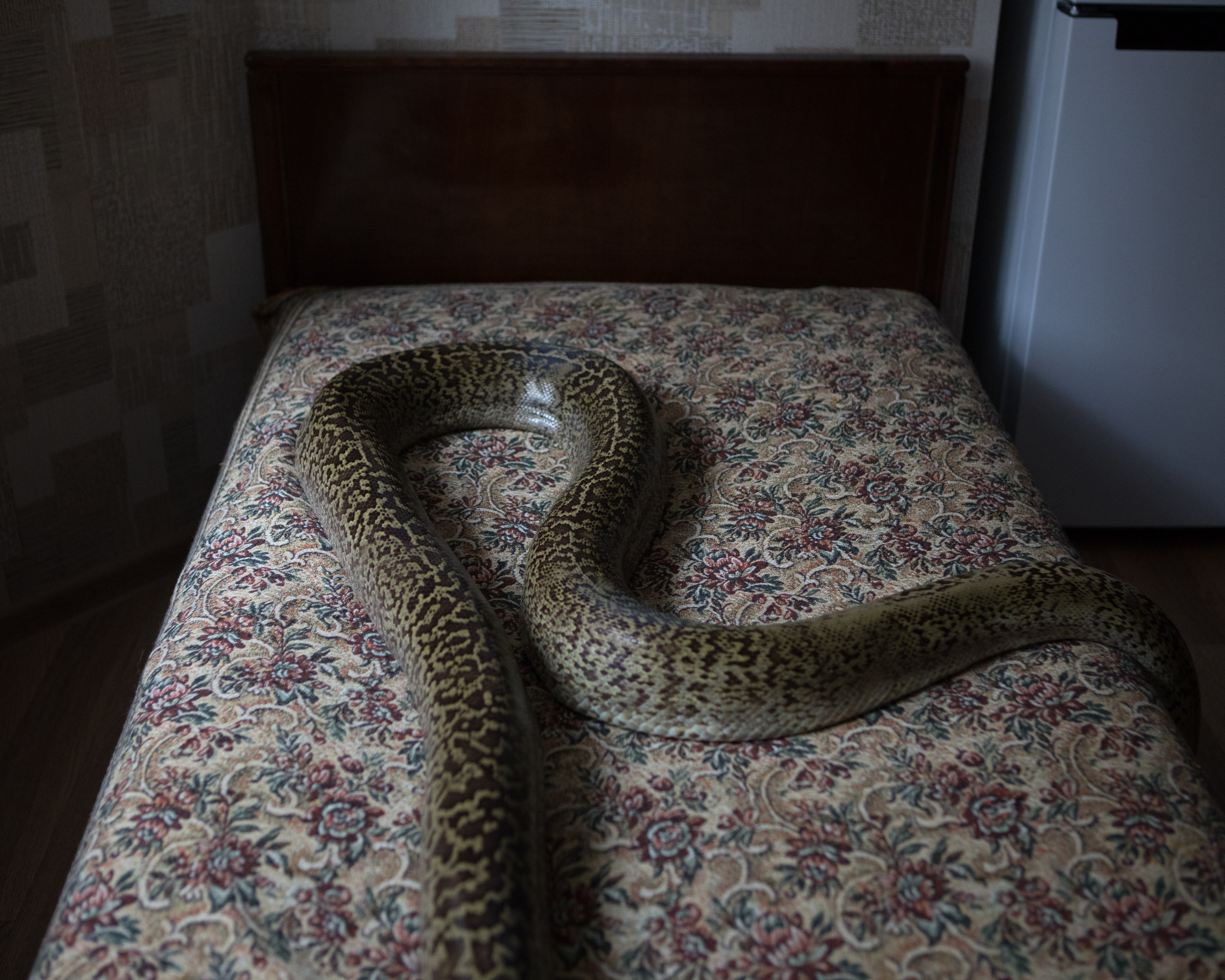 Exotarium. Jana Romanova