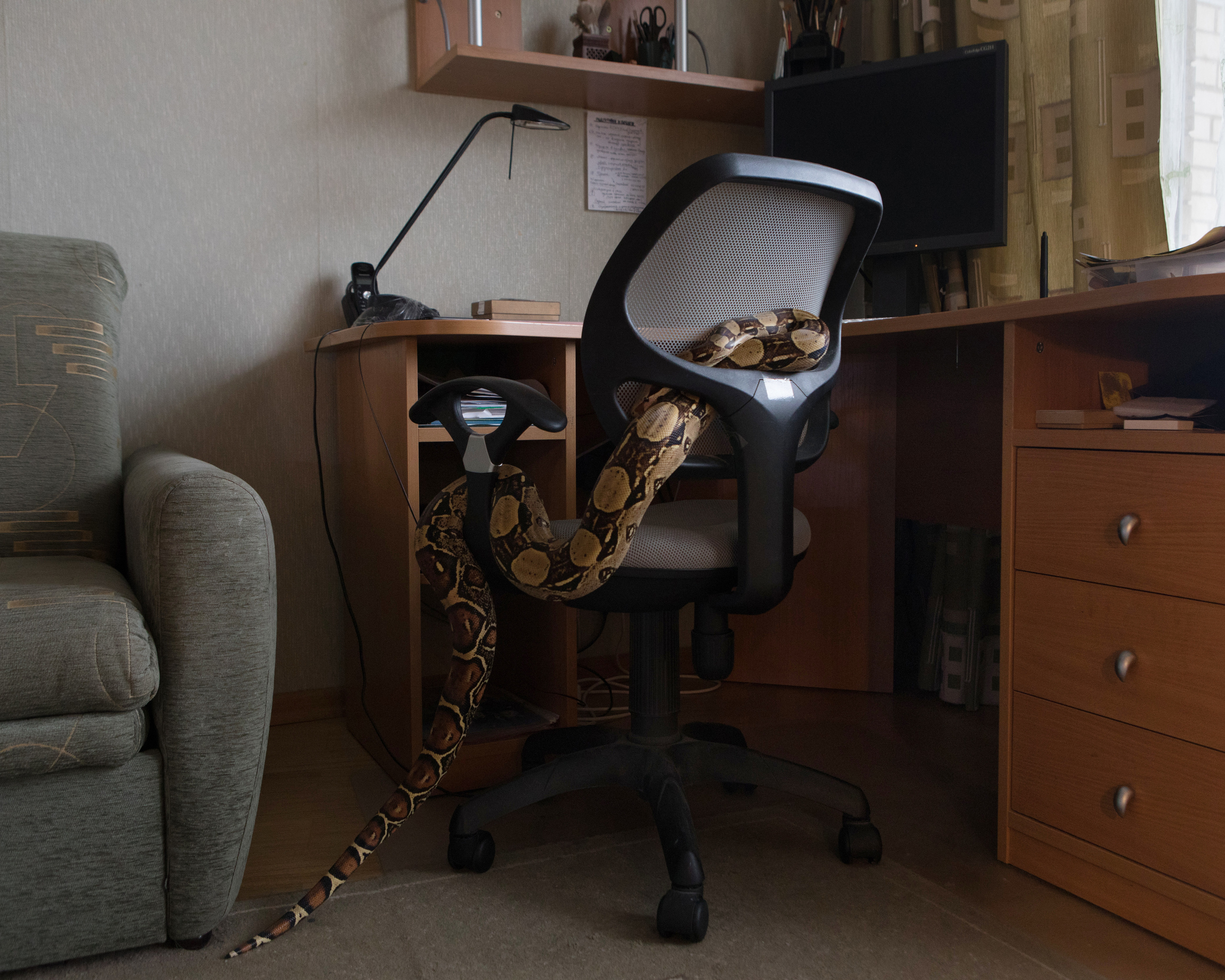 Exotarium. Jana Romanova