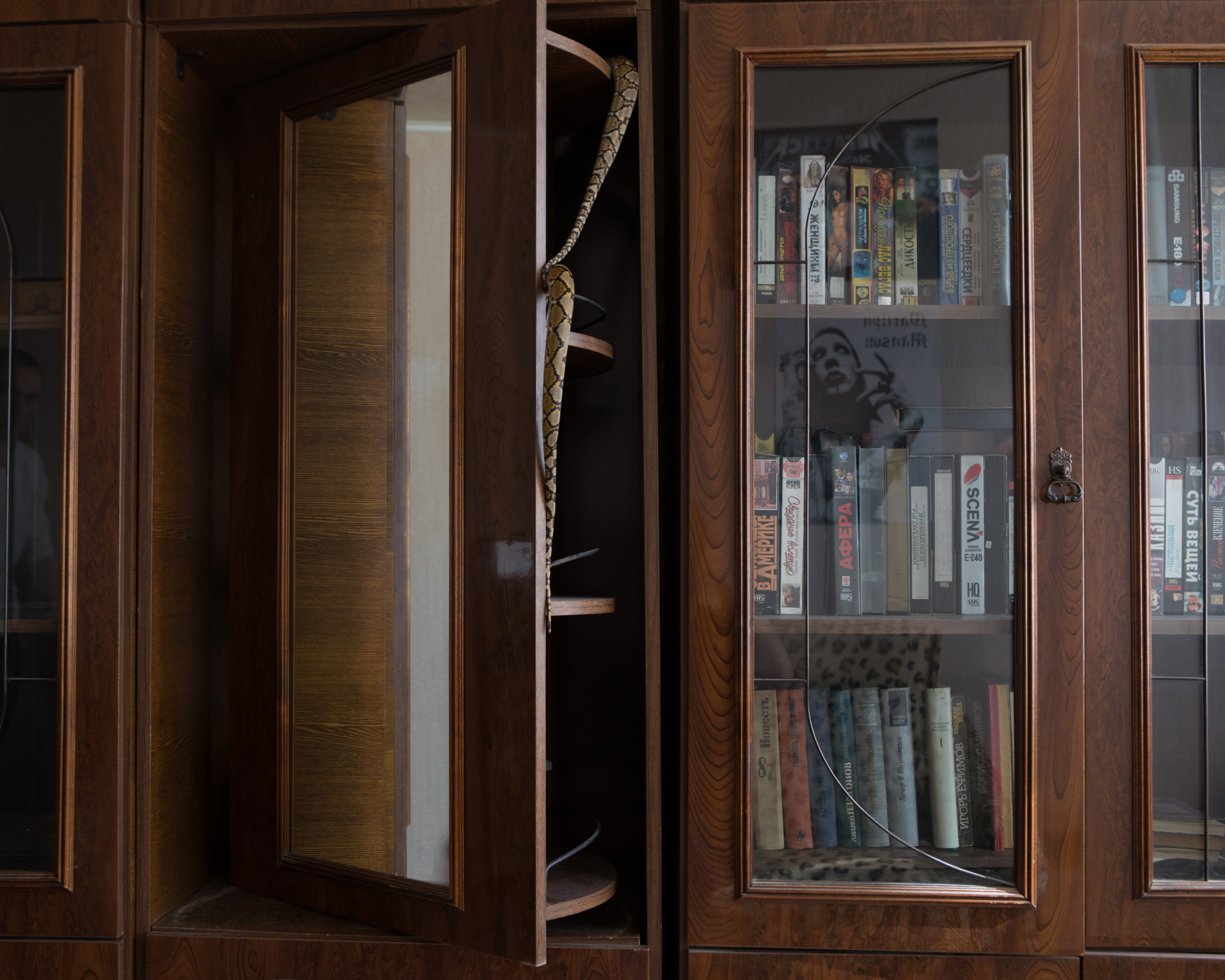 Exotarium. Jana Romanova