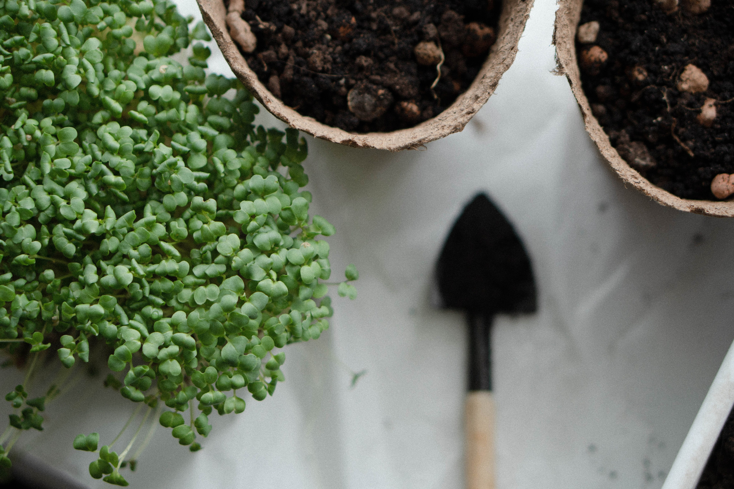 Предметная съемка. Видеограф Зинченко Татьяна г. Пермь