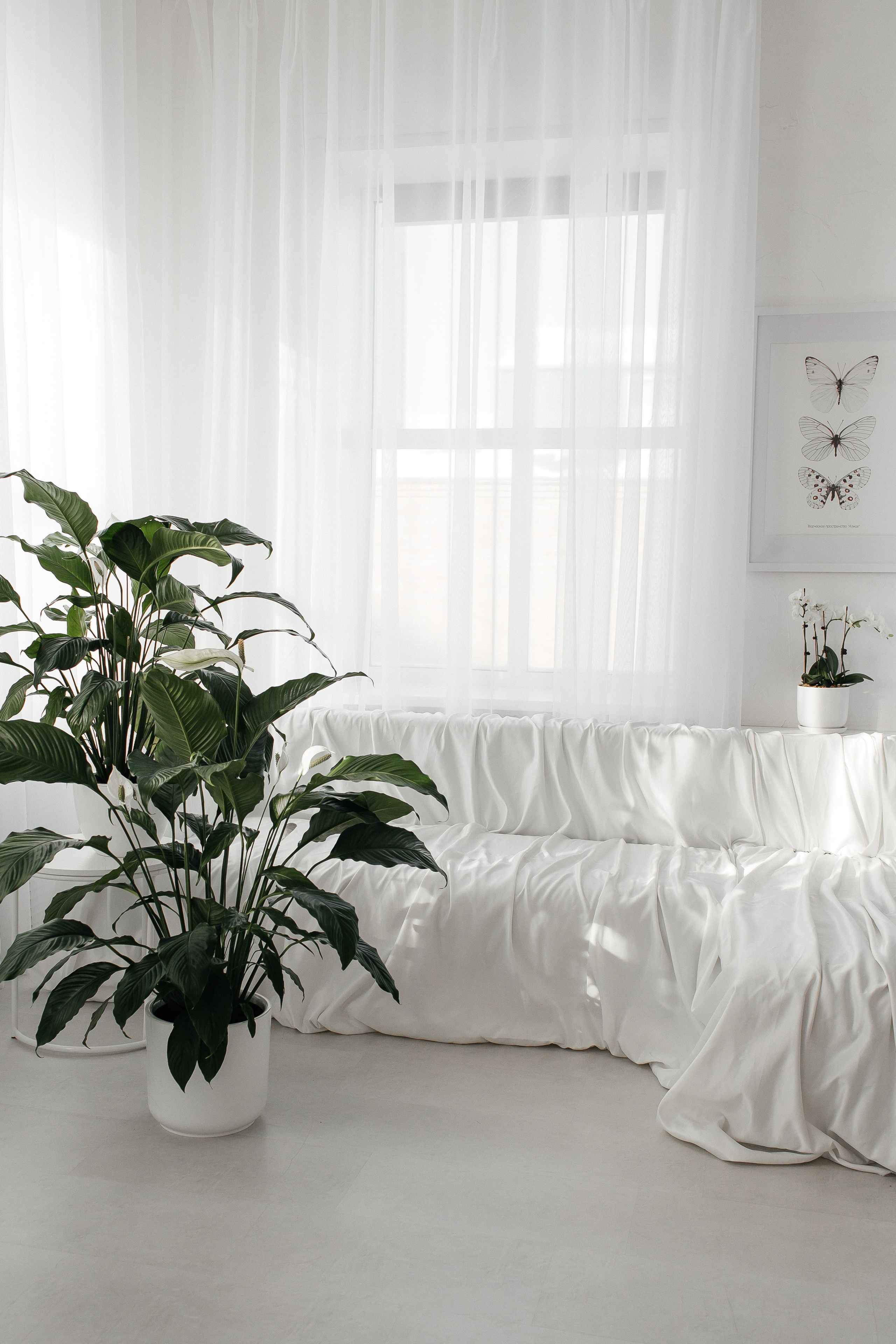 Фотостудия «Алиса» Тюмень