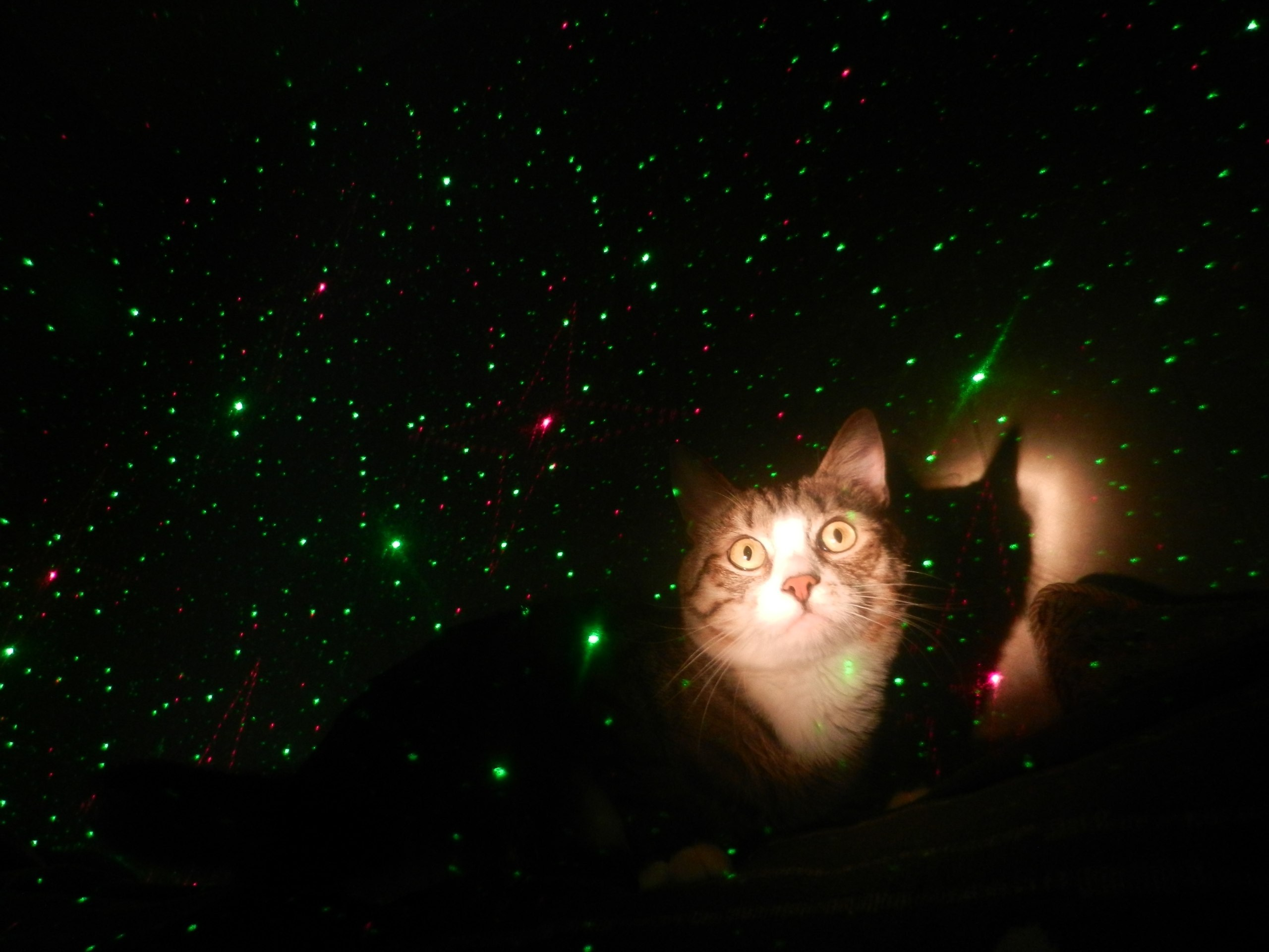 Автор: Николай Сычев