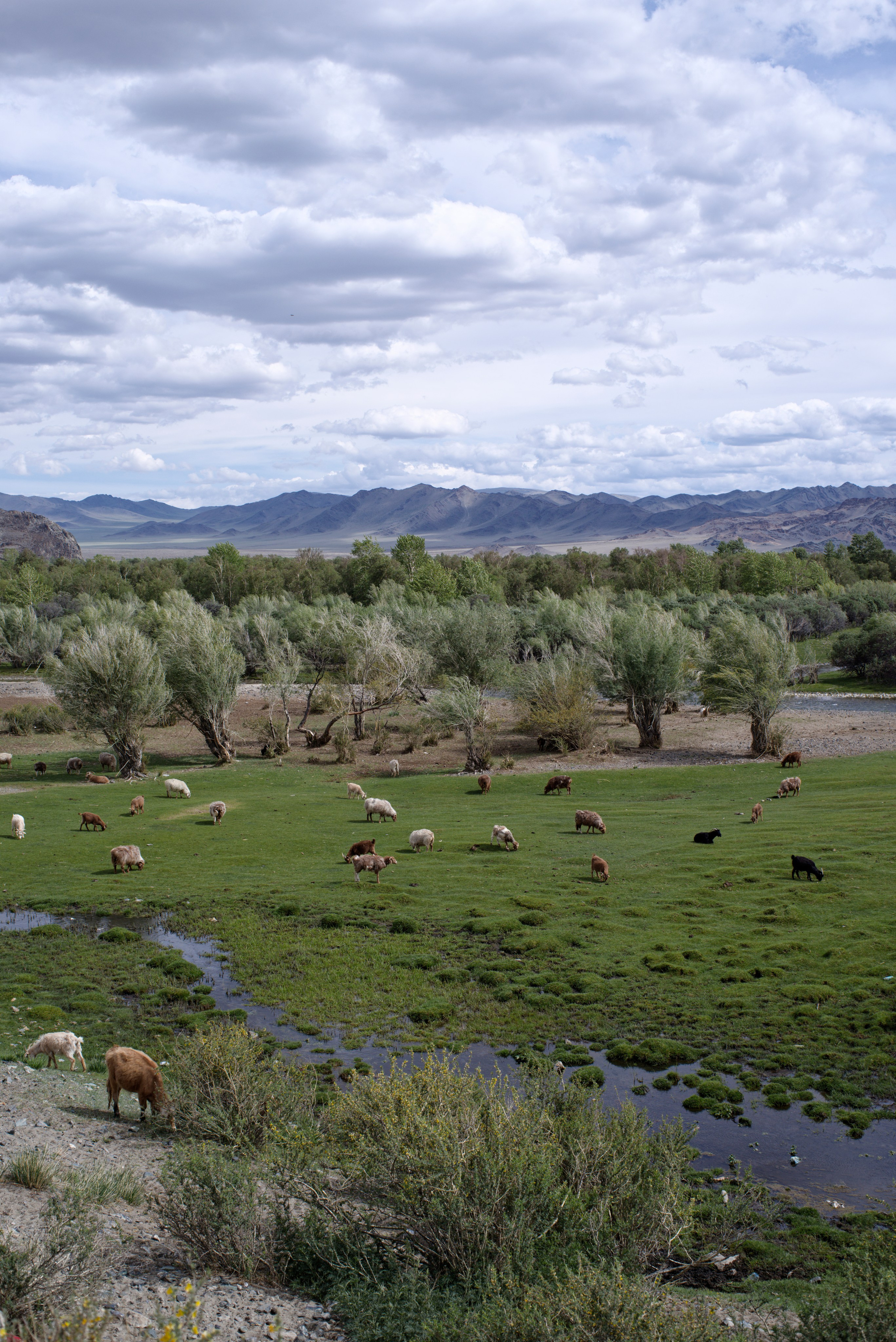 Экспедиция в Монголию (котловина больших озер). Семоха Валерий. Фотограф