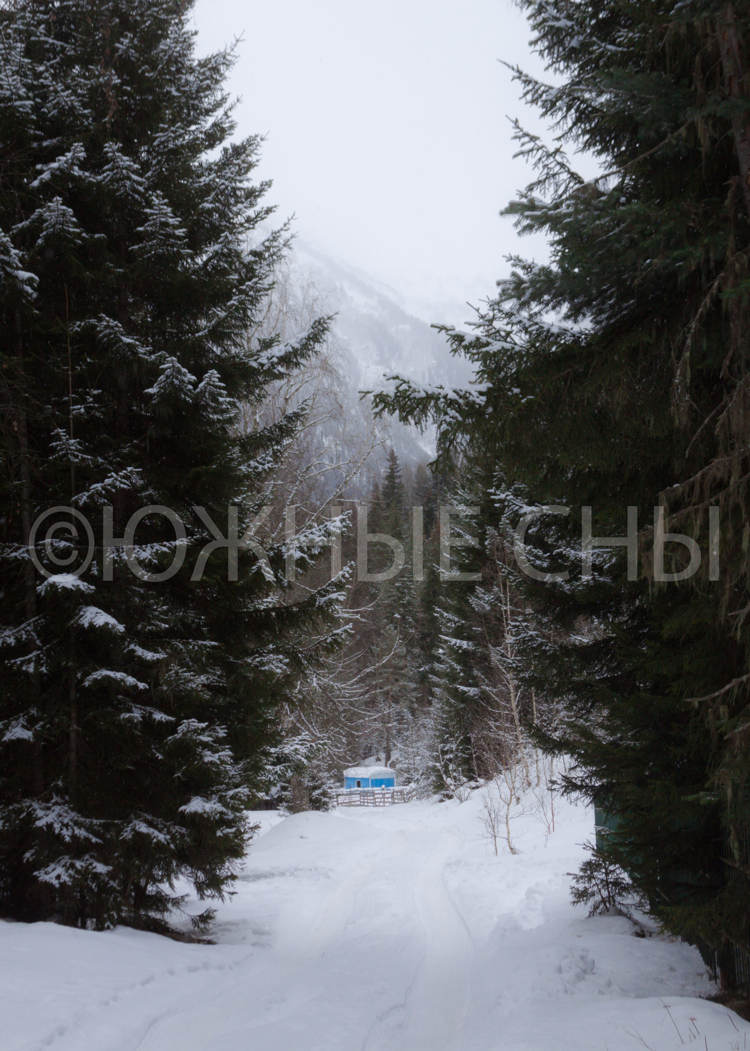 Купить фото зимнего Махара, КЧР