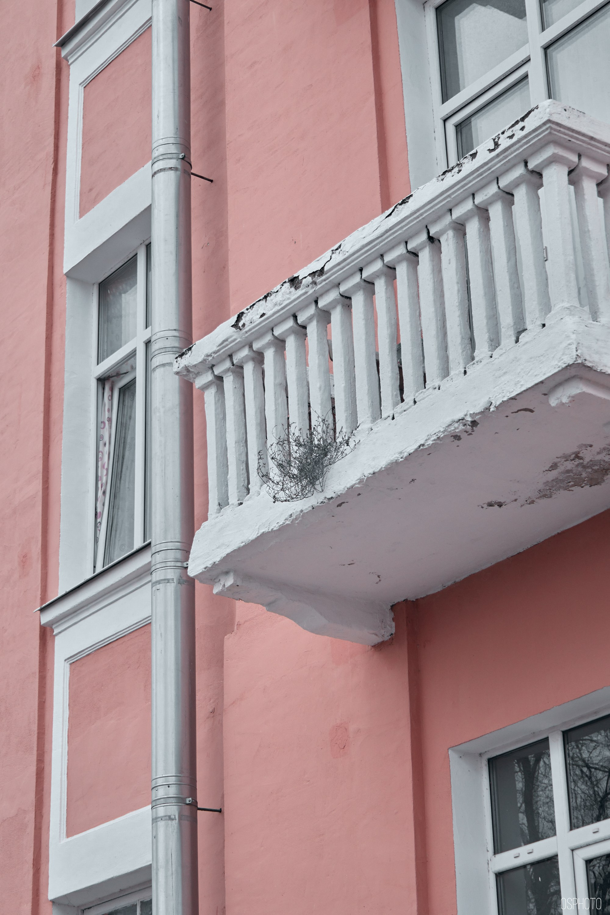 Псков. Ноябрь. Фотографъ Сергѣевъ. Поймать мгновеніе