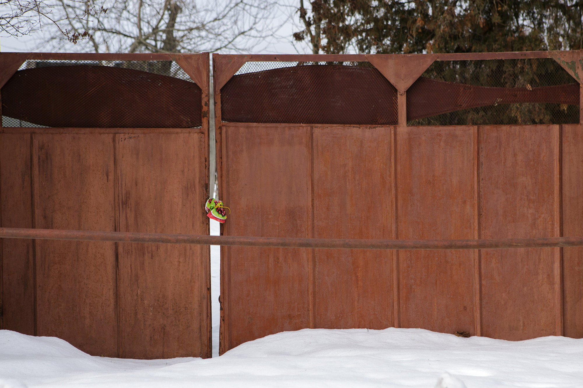 Границы. Фотограф Ольга Кардашова