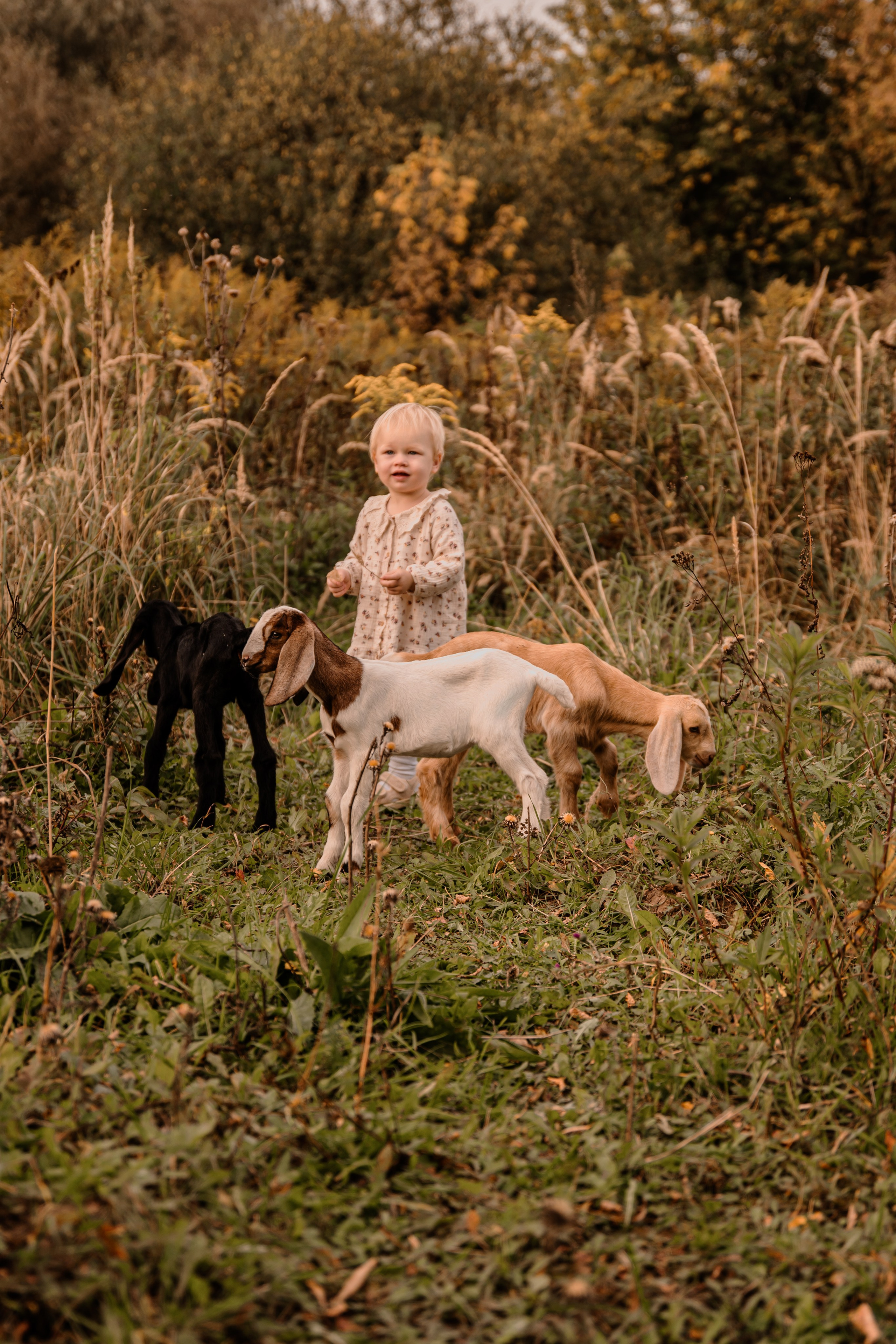 Фотограф Серпухов. Индивидуальные, семейные, студийные съемки в Серпухове