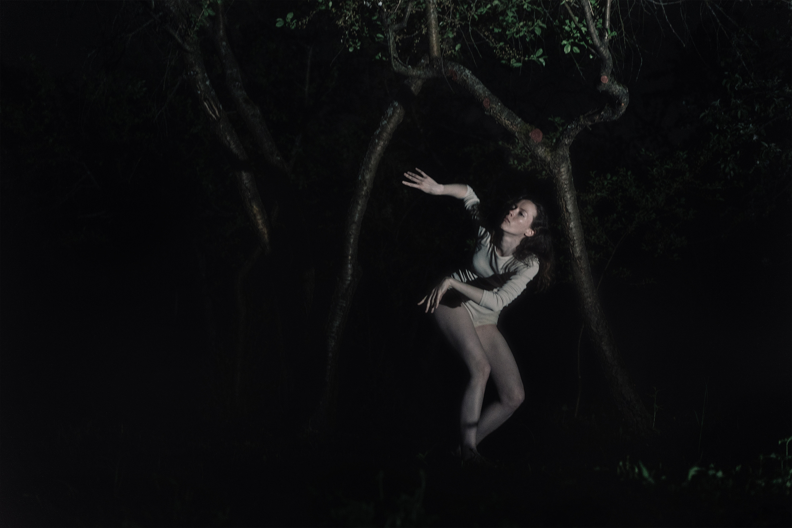 Nocturnal Animals. Mixed-media artist