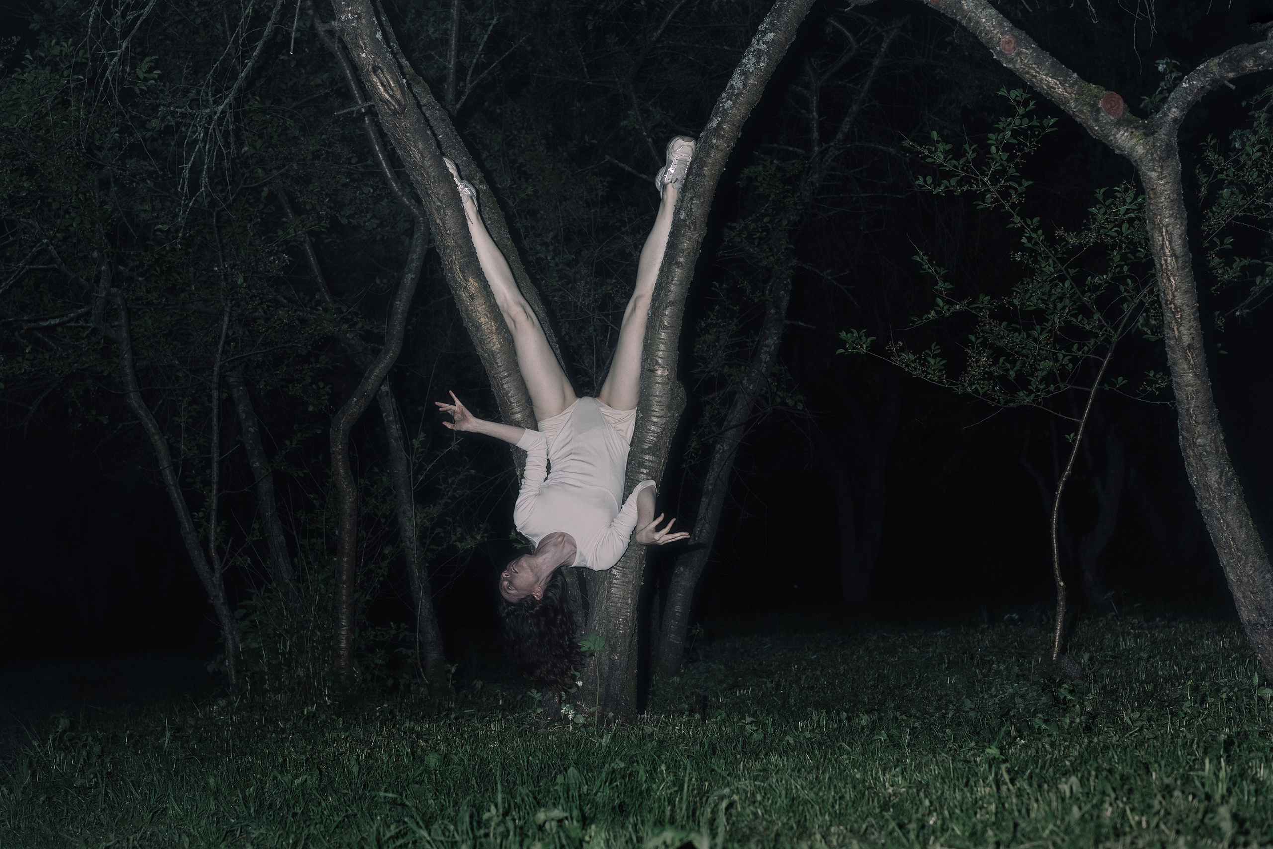 Nocturnal Animals. Mixed-media artist