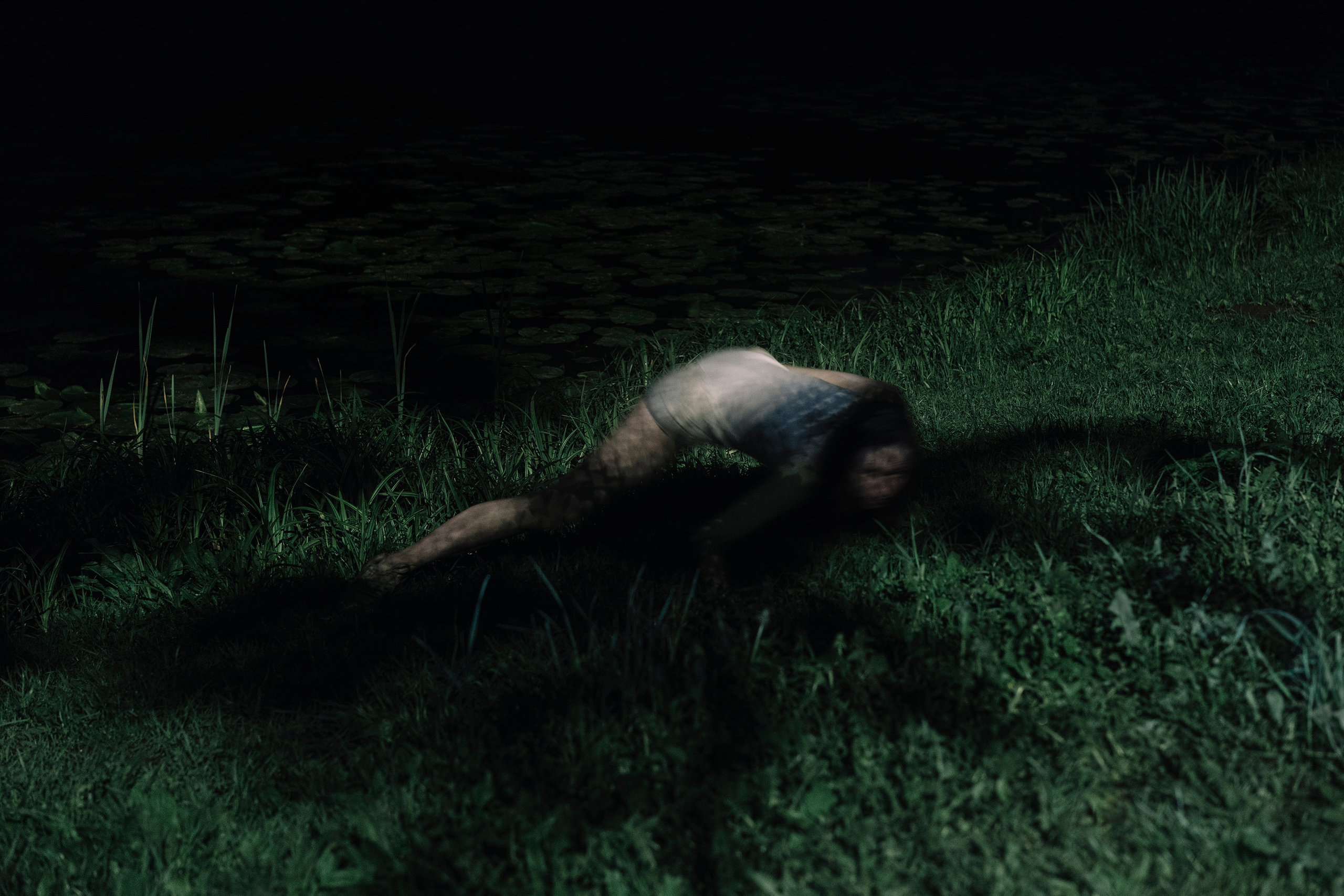 Nocturnal Animals. Mixed-media artist