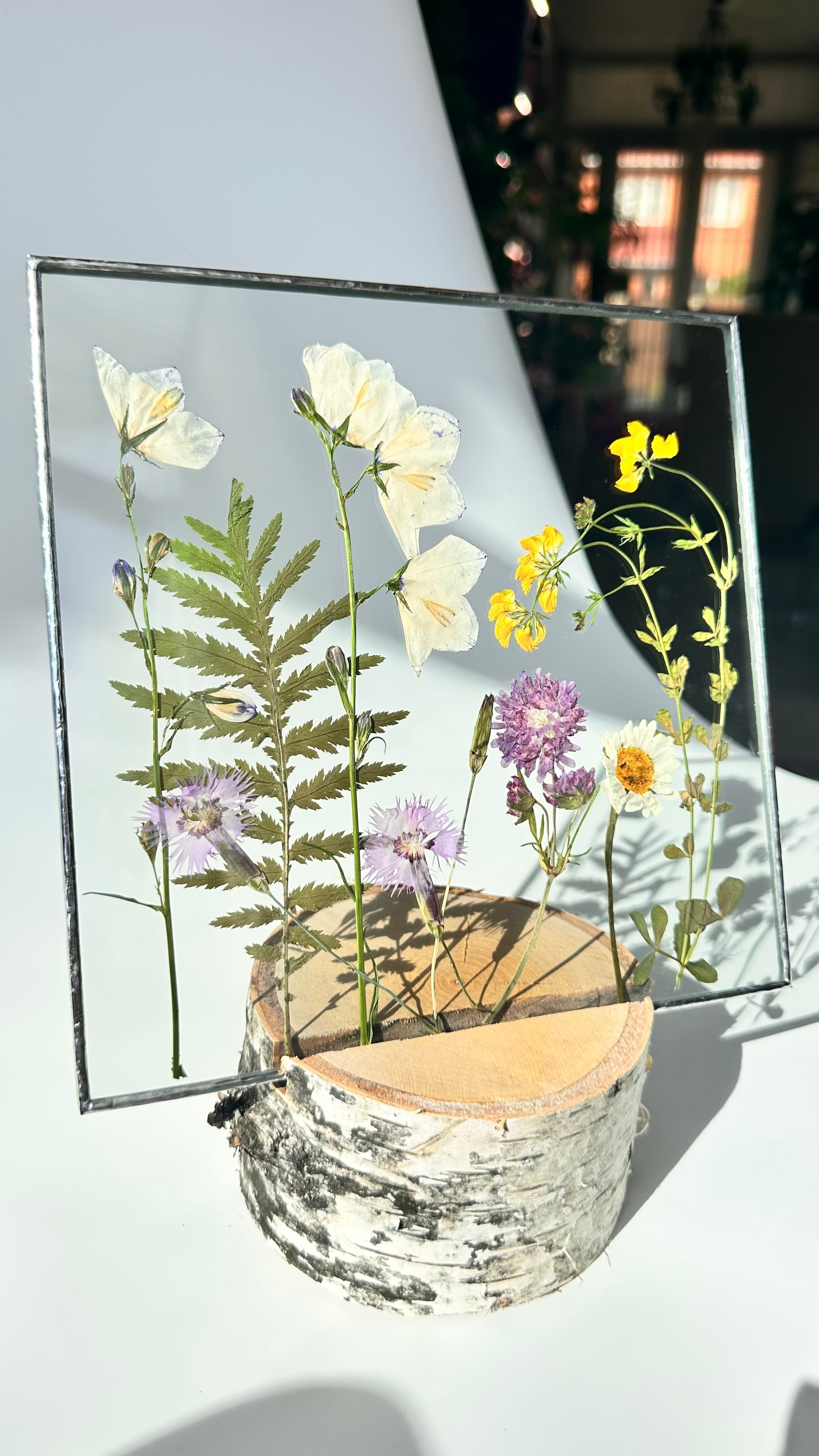 Колокольчики, гвоздики, ромашка Квадрат 20 см. Оформляю пространства. Витражи с сухоцветами в технике Тиффани