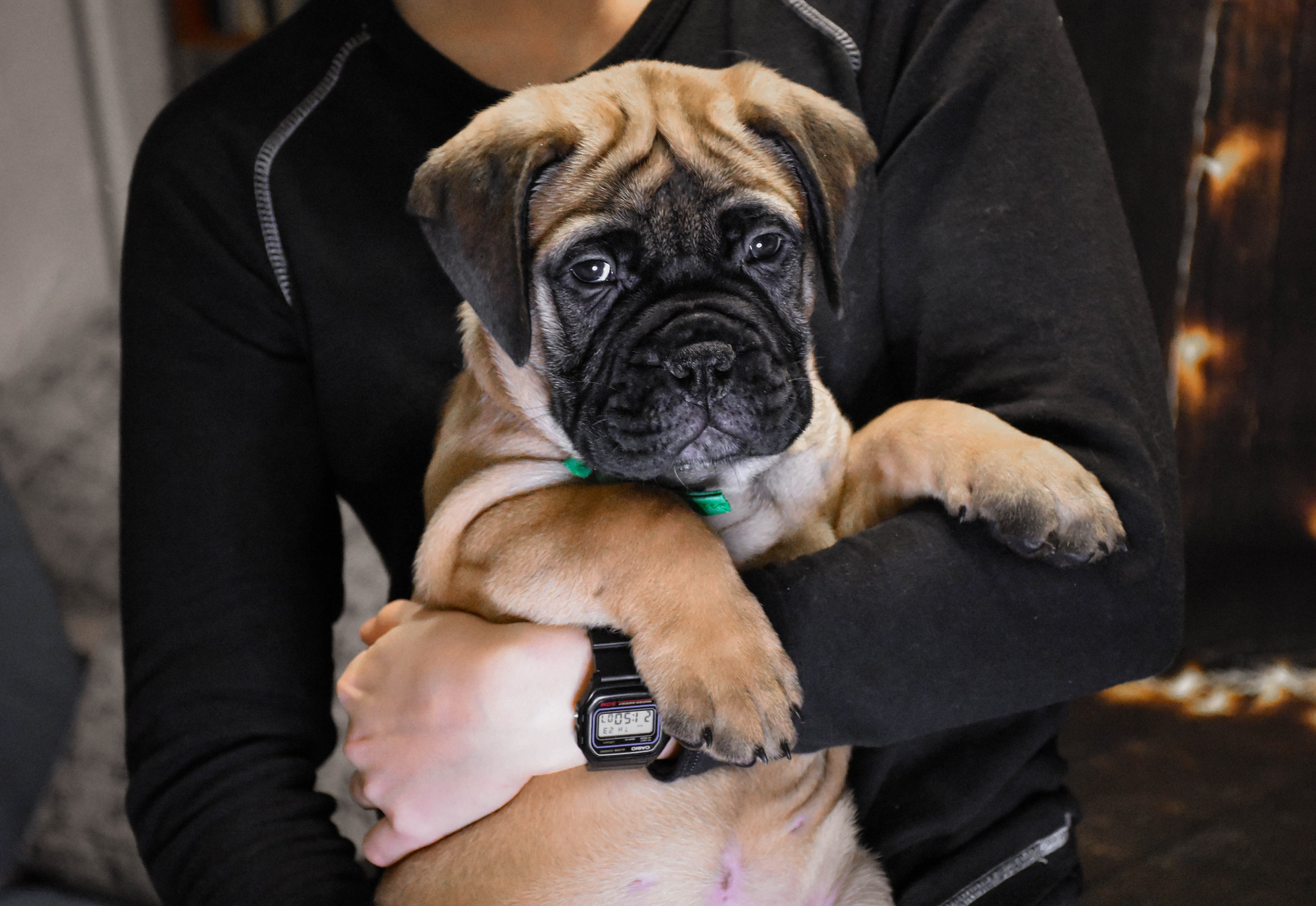 В созвучии с природой. Фотограф Светлана В. Пронина, Москва