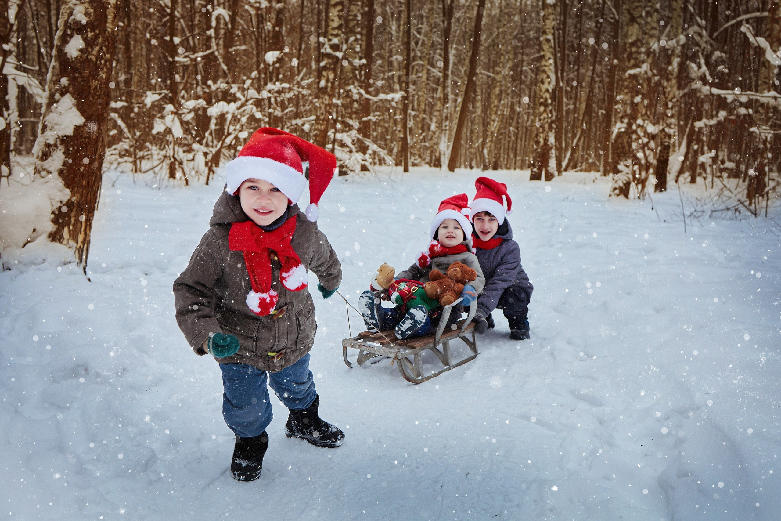 Семейный и свадебный фотограф в Ярославле Надежда Бойкова