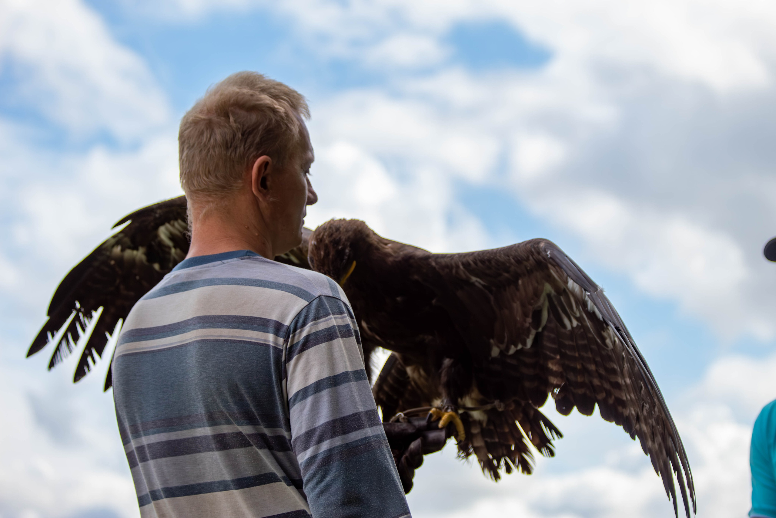Охота как искусство Ясная поляна. Фотограф анималист — Тула, Москва
