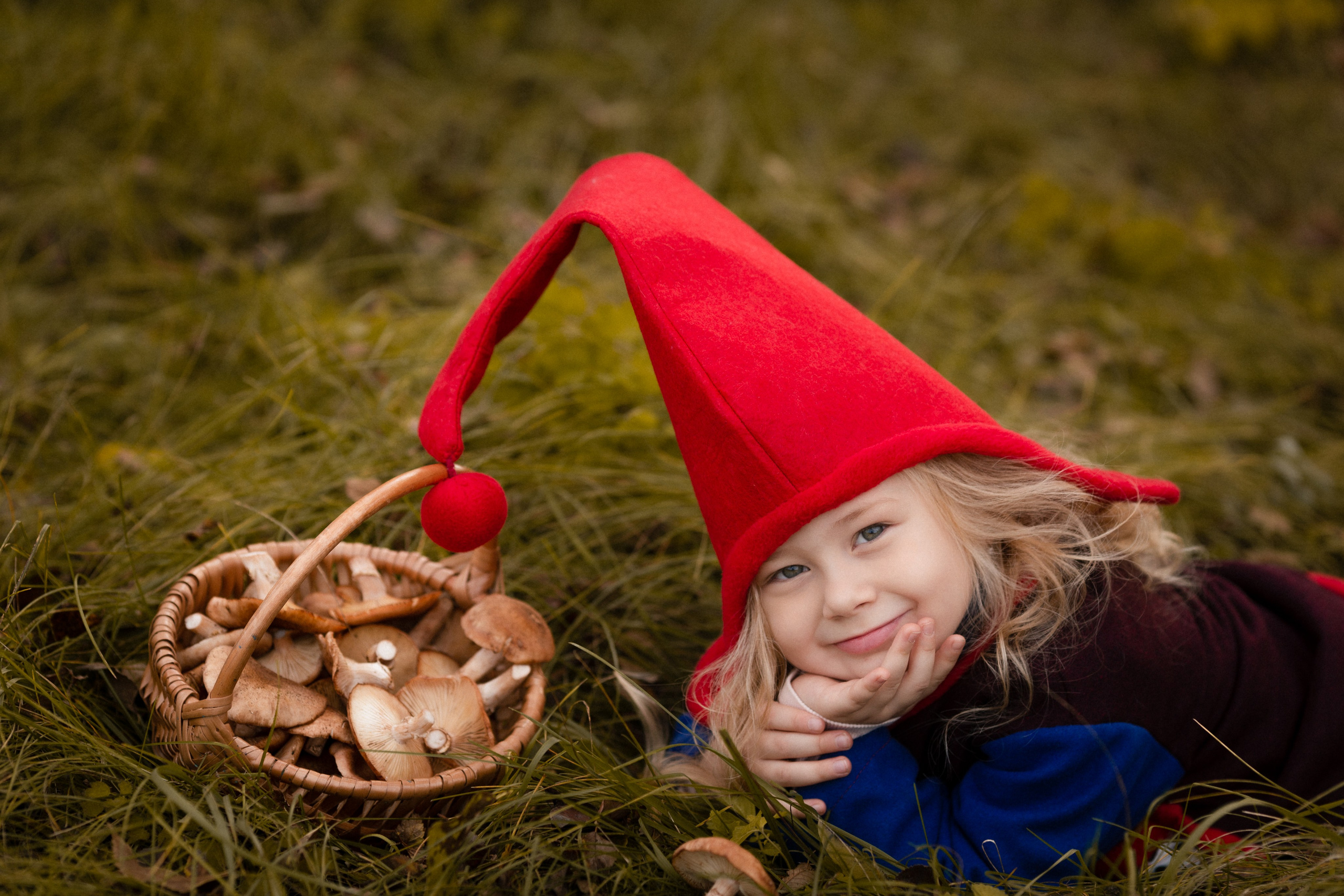 Лесные гномы