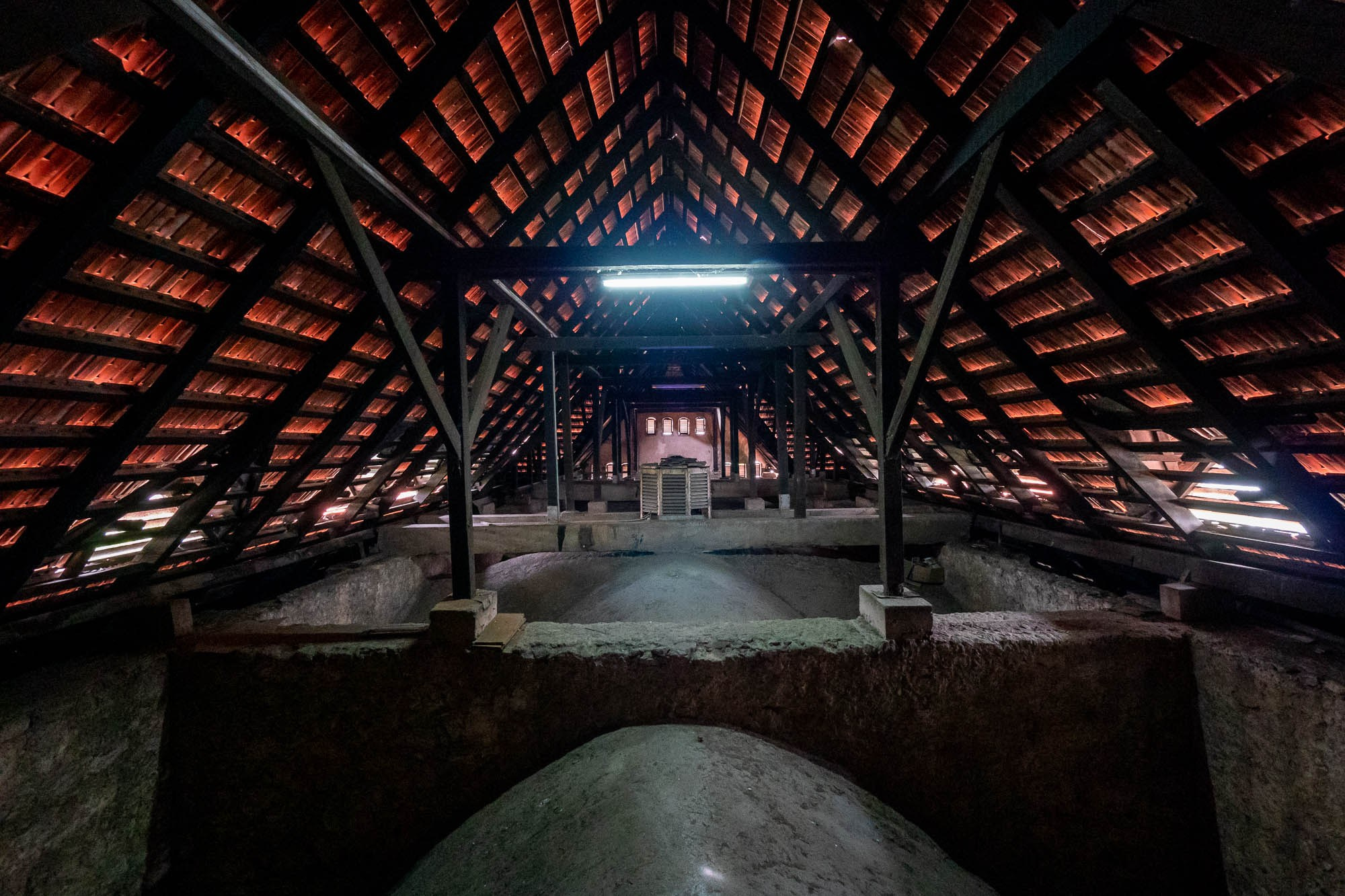 Танзания, Дар эс Салам. Tanzania, Dar es Salaam. Фотограф Алексей Скоробогатько