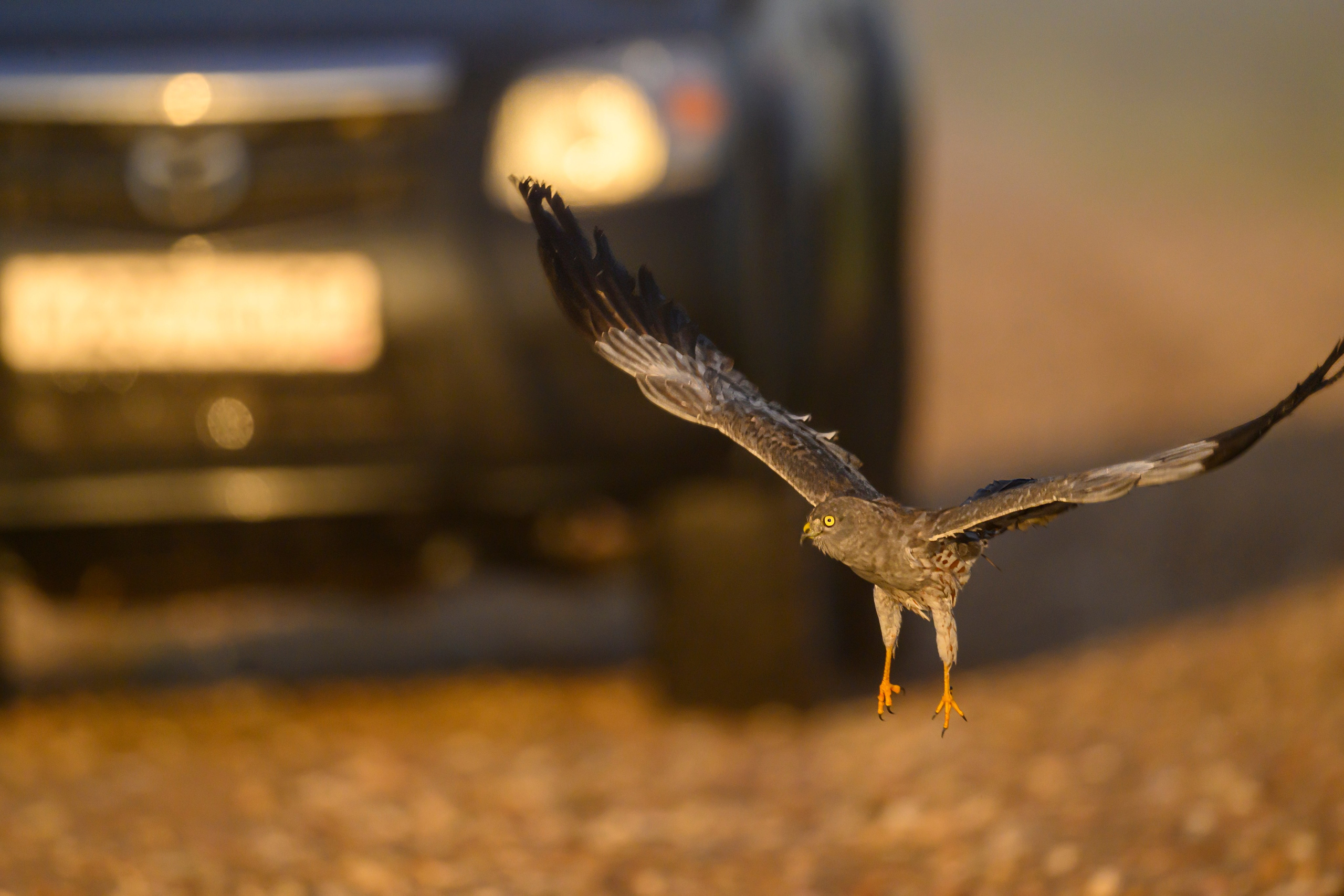 После шторма. After the storm. Фотограф Сергей Пупонин