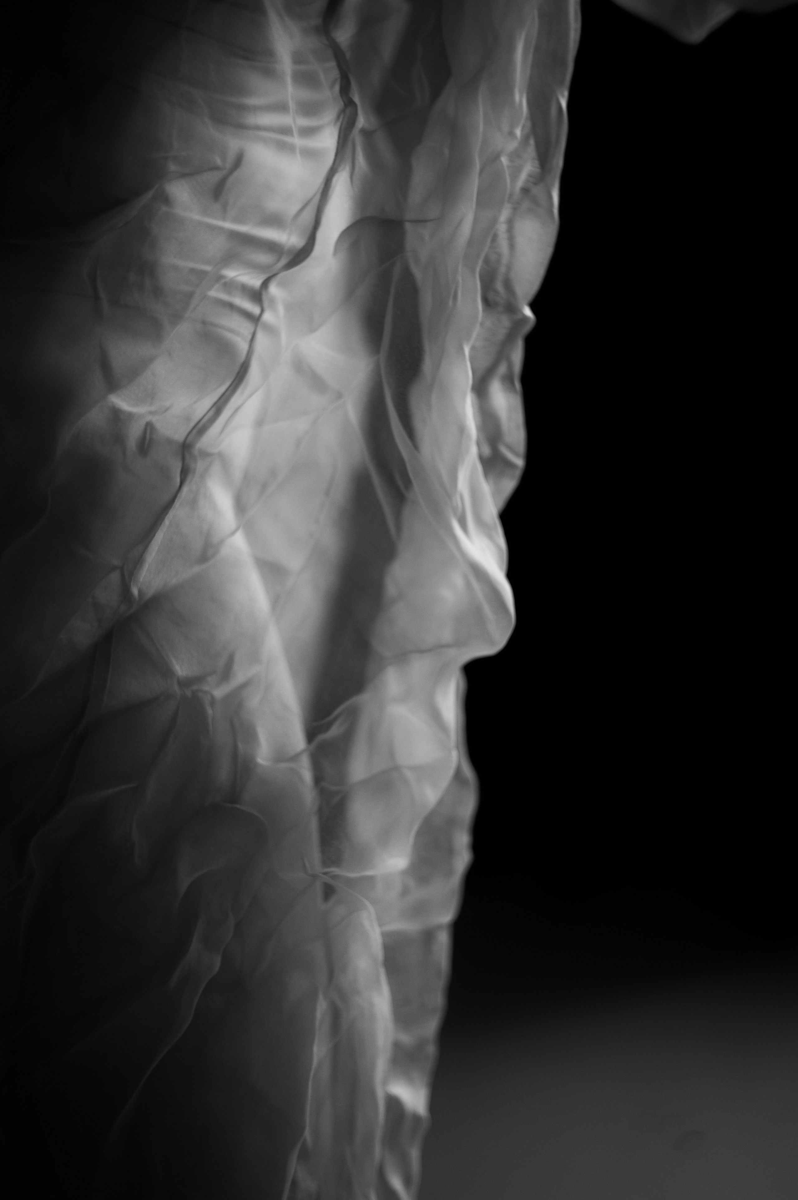 ПРОЕКТ «ЭТО Я». Танцующий фотограф в Сочи Анастасия Таволжанская