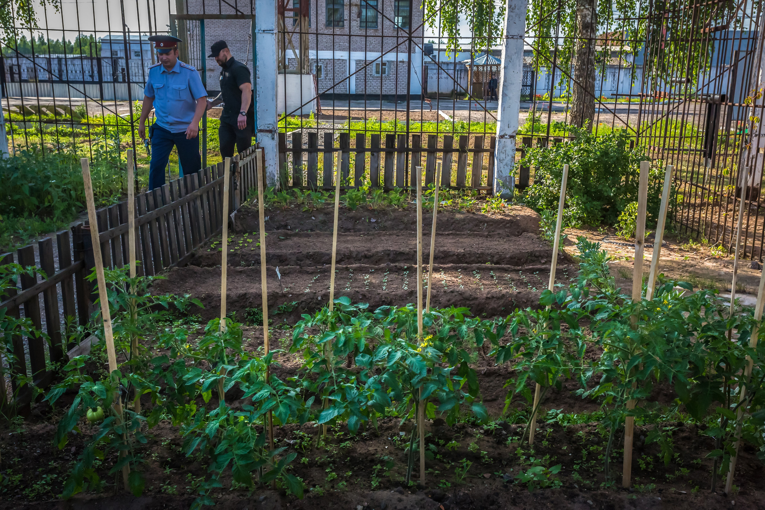 СВЯЗАННЫЕ ОДНОЙ ЗОНОЙ. Контакты