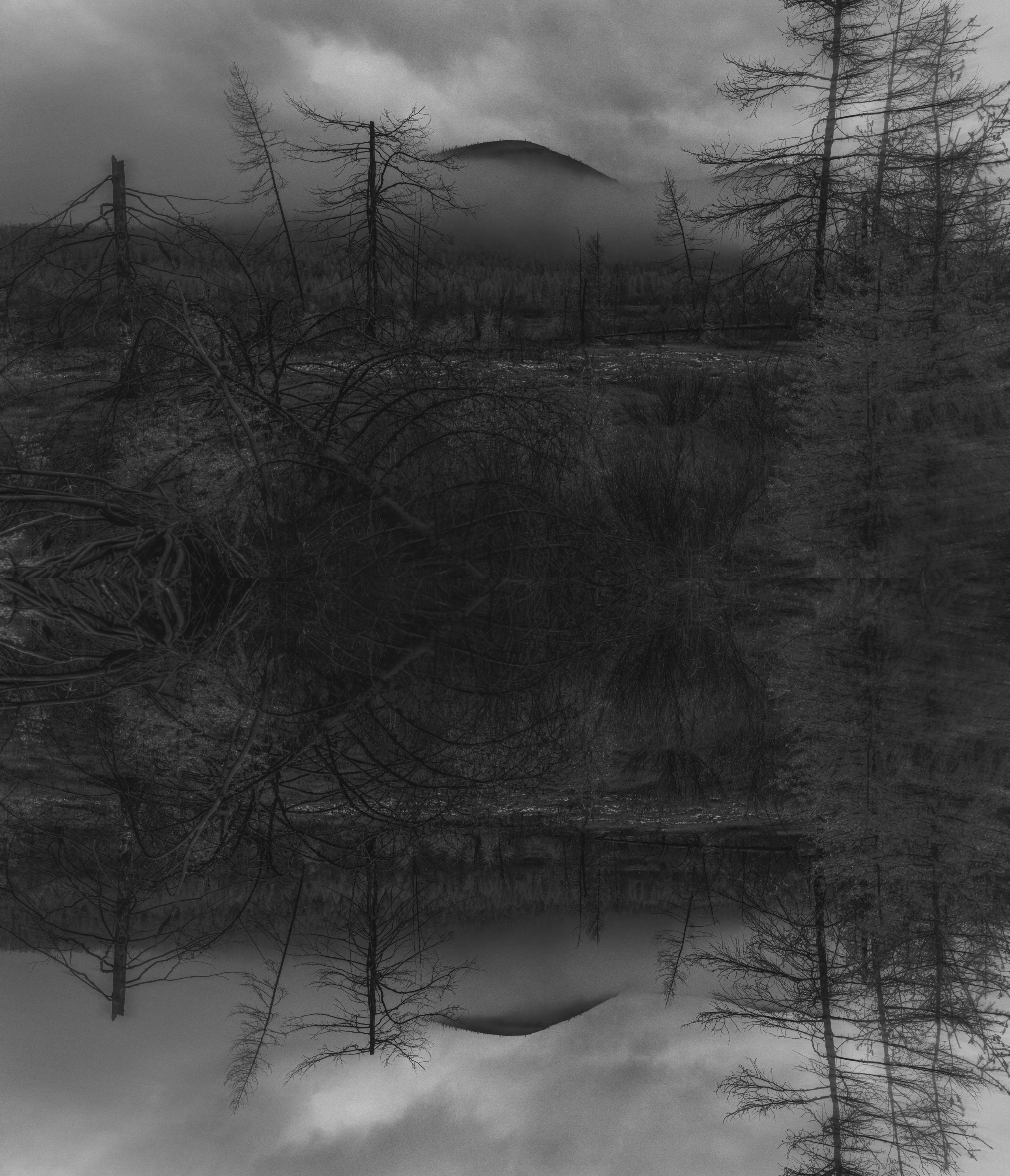 Бутугычаг: не земля. Элина Гусарова