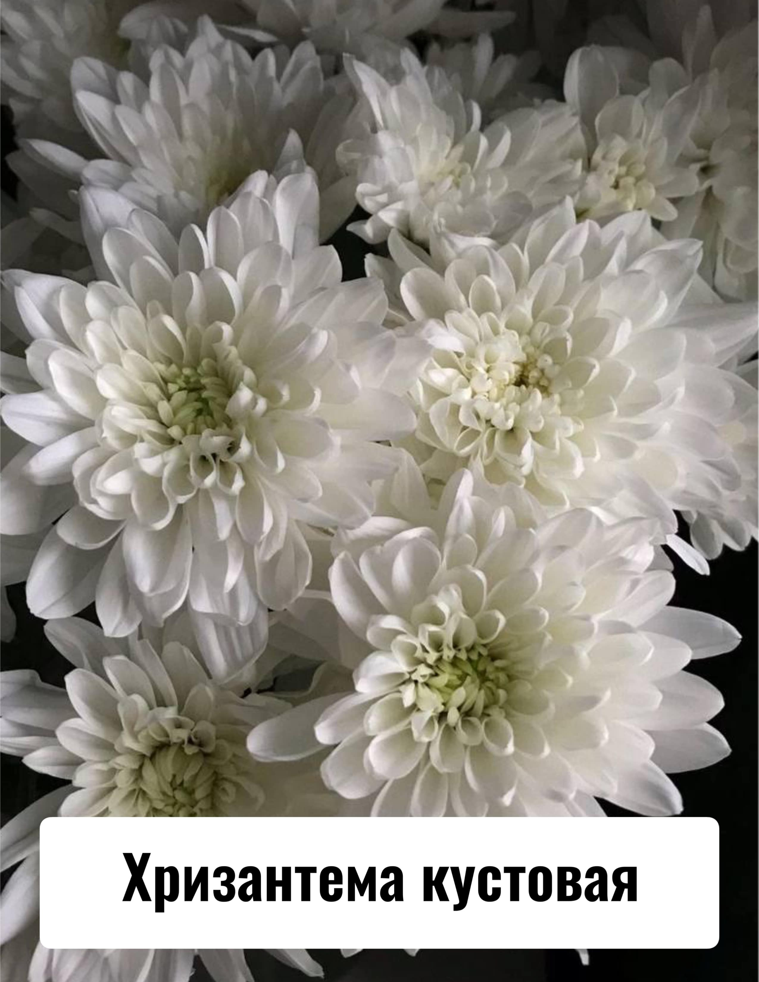 Приглашение на свадьбу