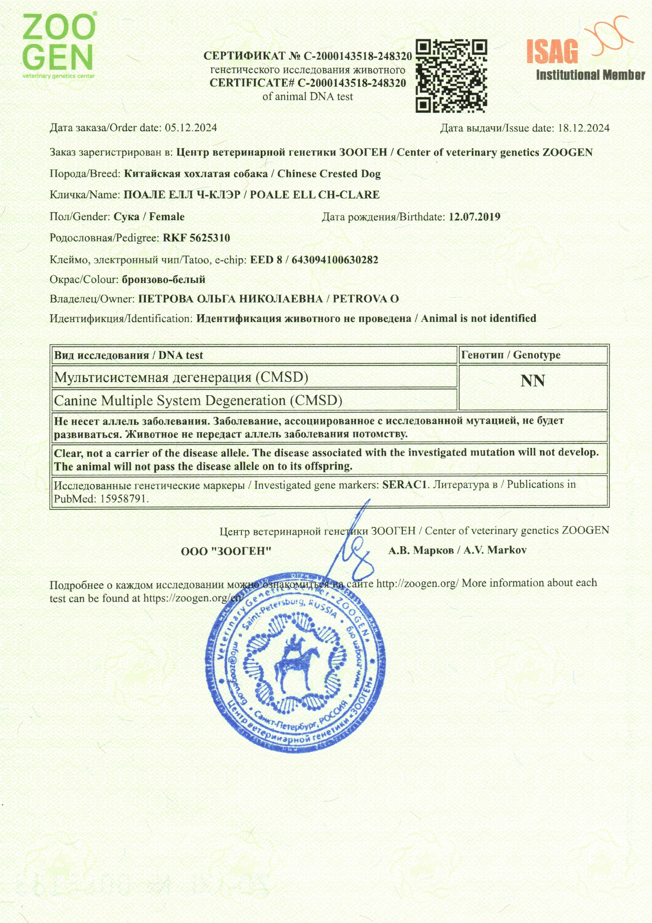 Poale Ell Clare. Chinese Crested Dog Kennel Poale Ell