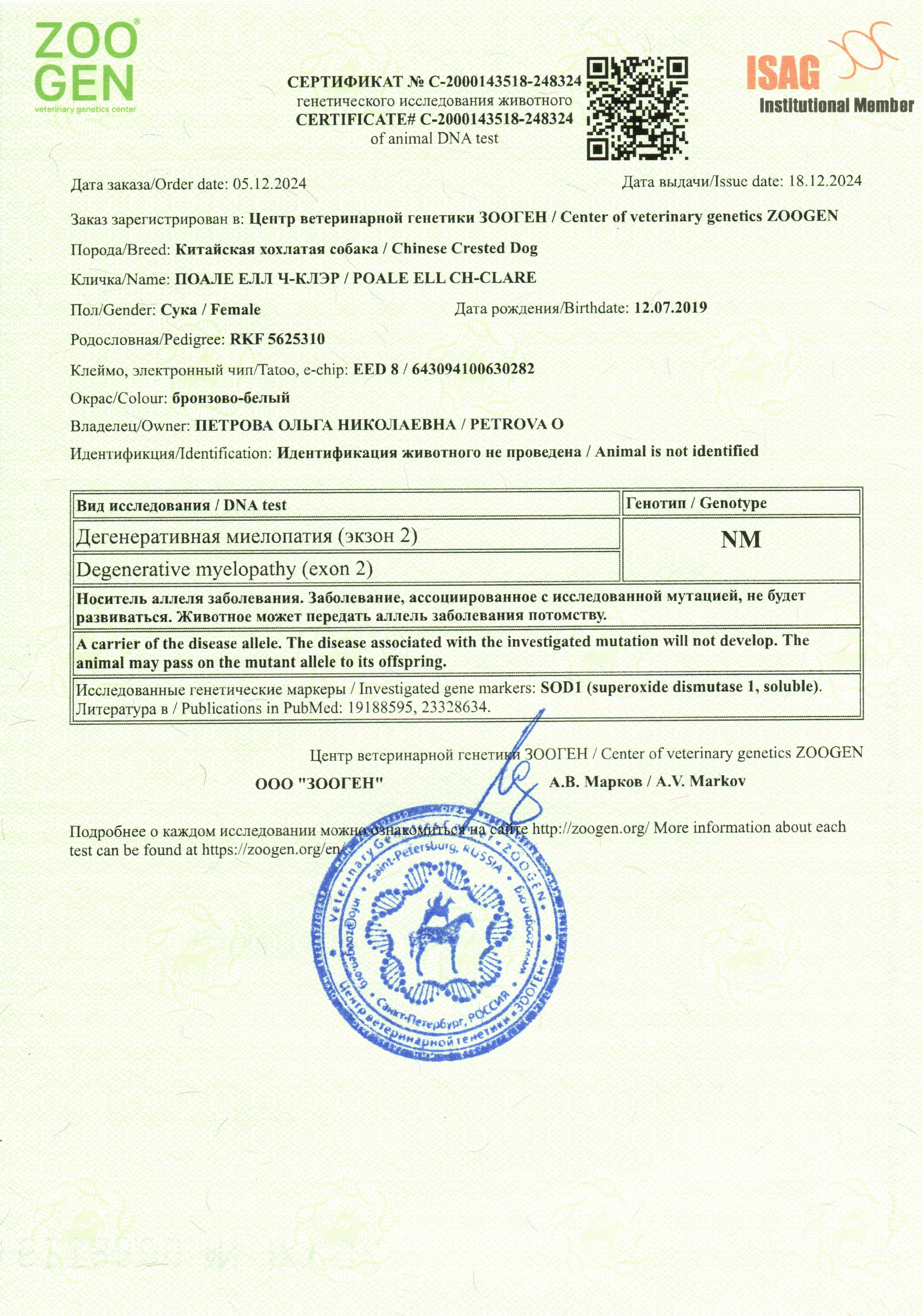 Poale Ell Clare. Chinese Crested Dog Kennel Poale Ell