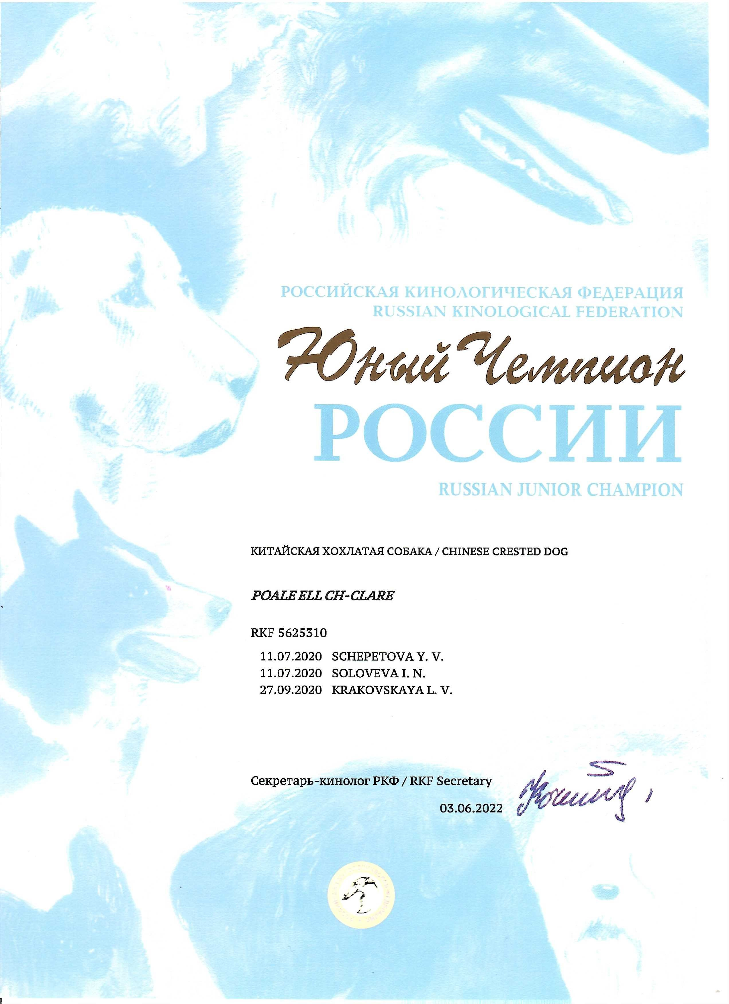 Poale Ell Clare. Chinese Crested Dog Kennel Poale Ell